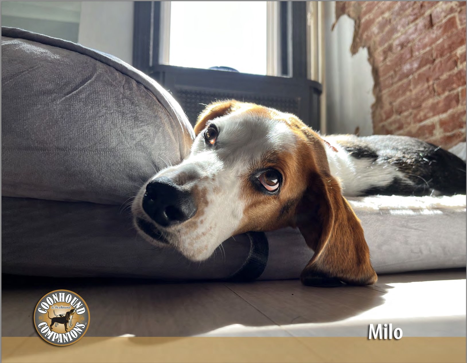 February - Milo