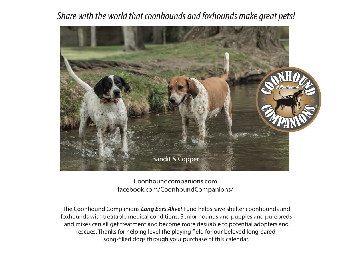 Back Cover: Bandit & Copper.