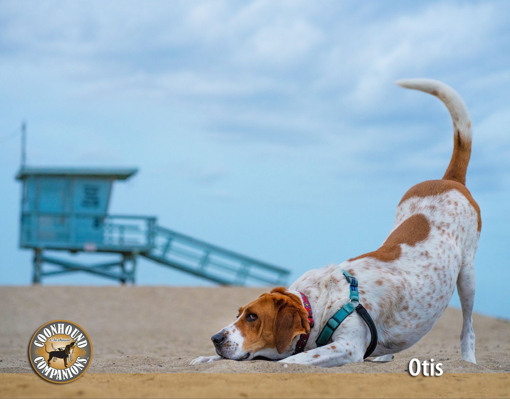 May - Otis
