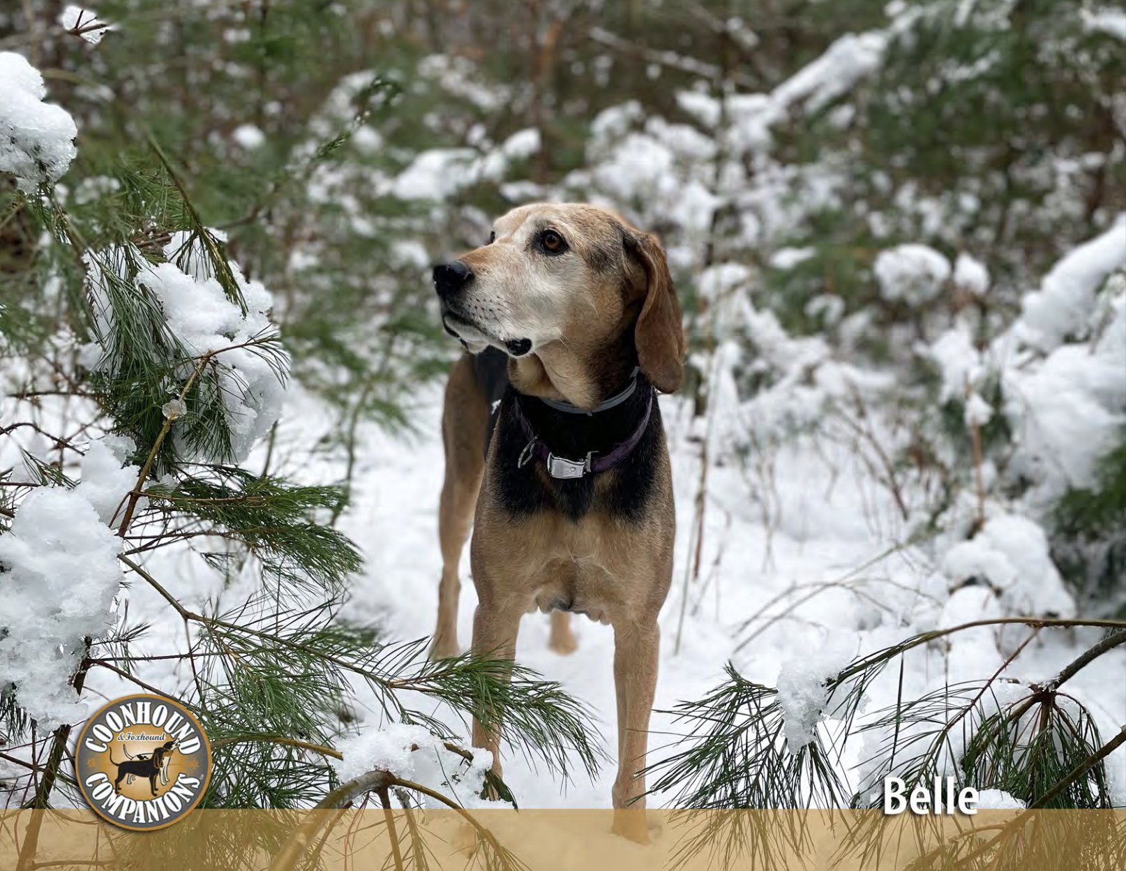 January - Belle