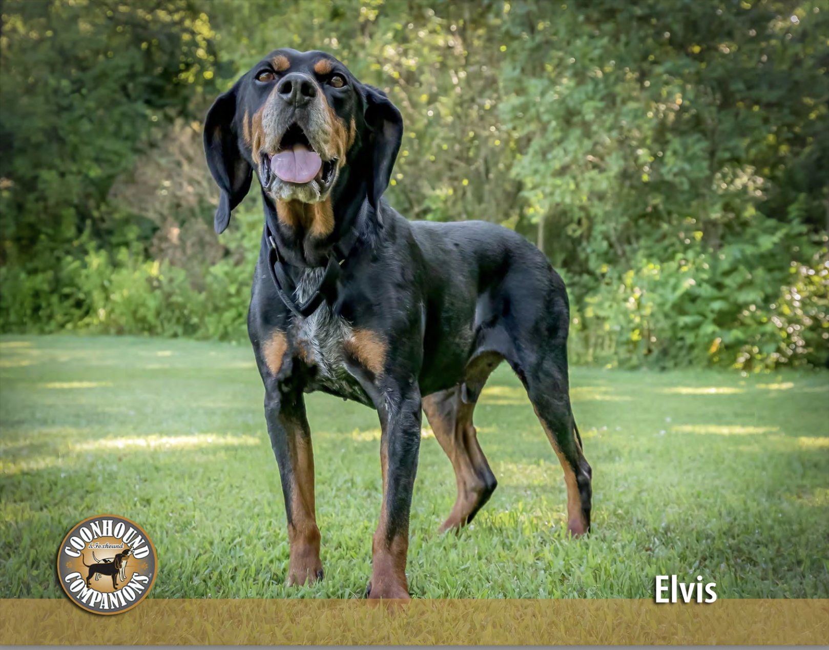 April - Elvis