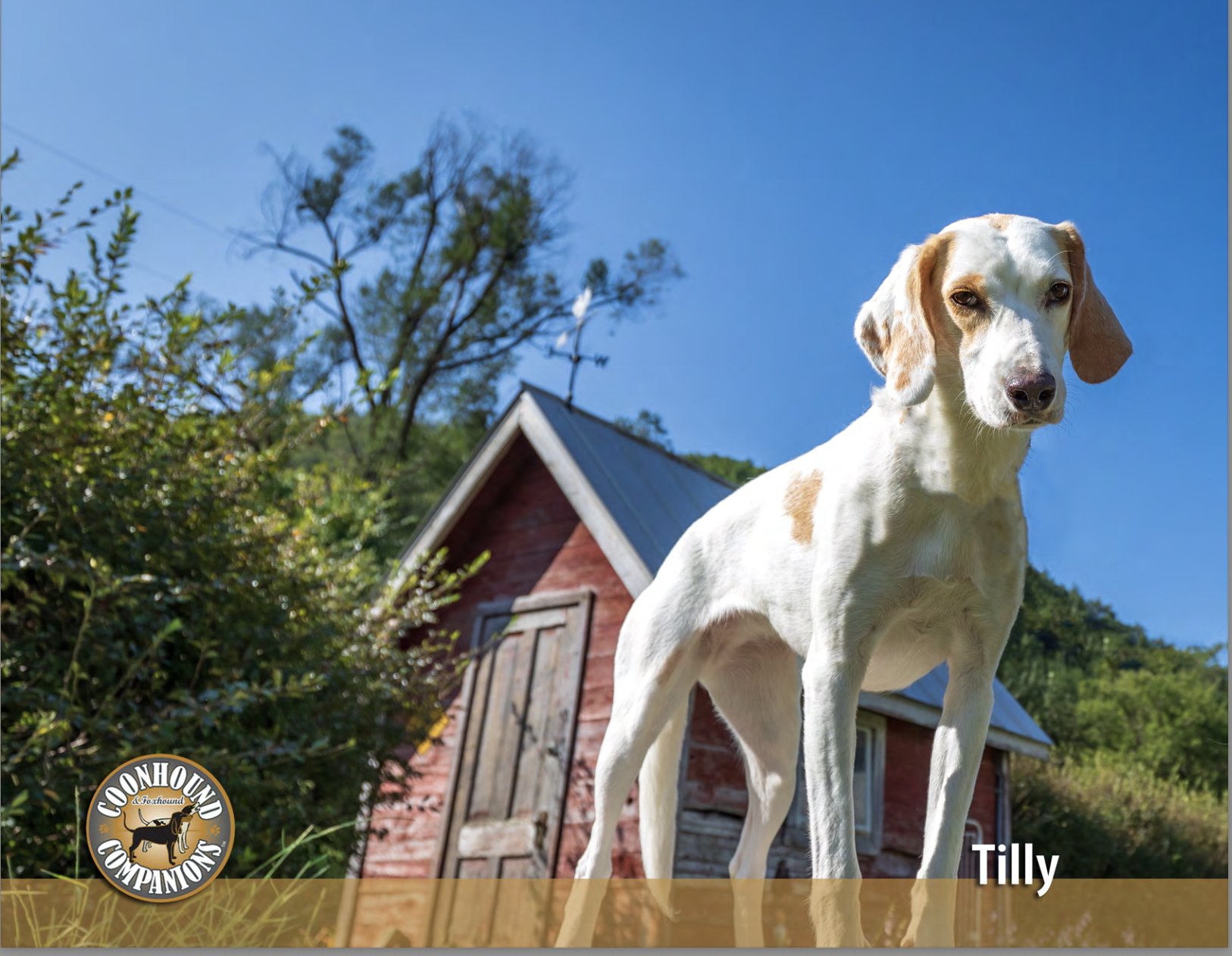 May - Tilly