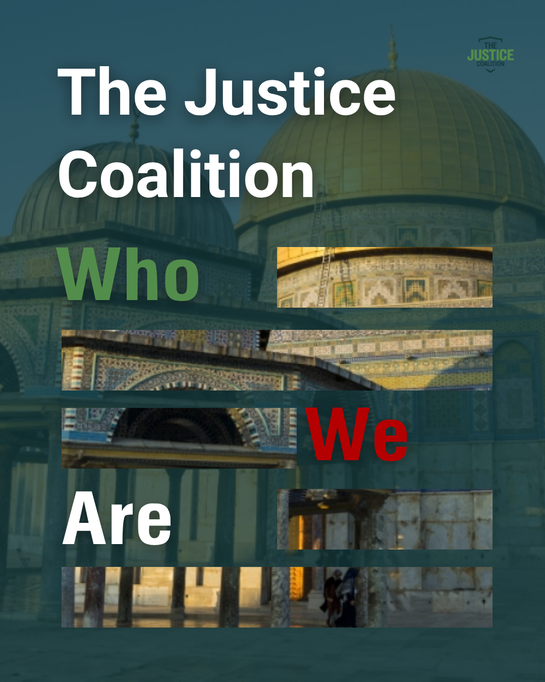 TJC Intro Post.png