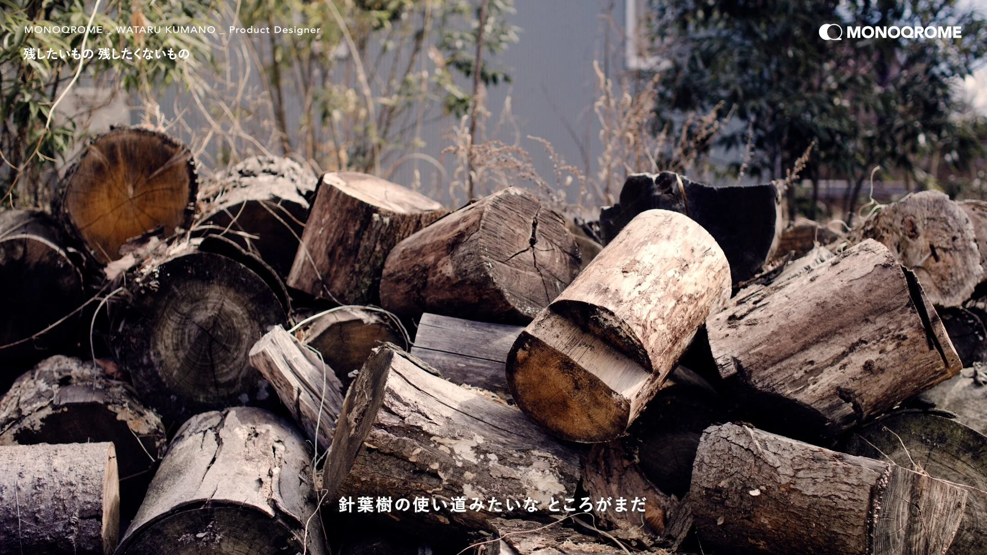 260409_monoqrome_kumano.00_11_57_15.静止画033.jpg