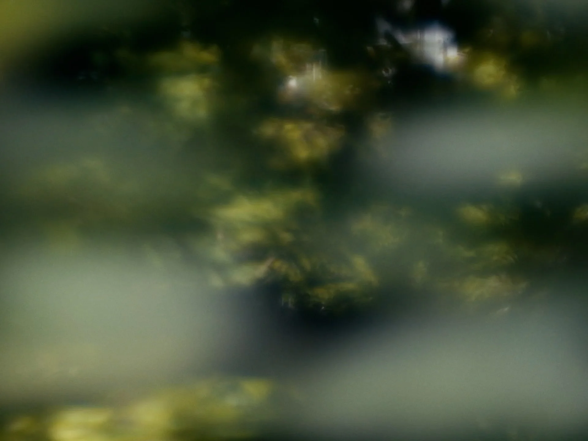 260613_callmeyours.00_00_42_18.静止画013.jpg