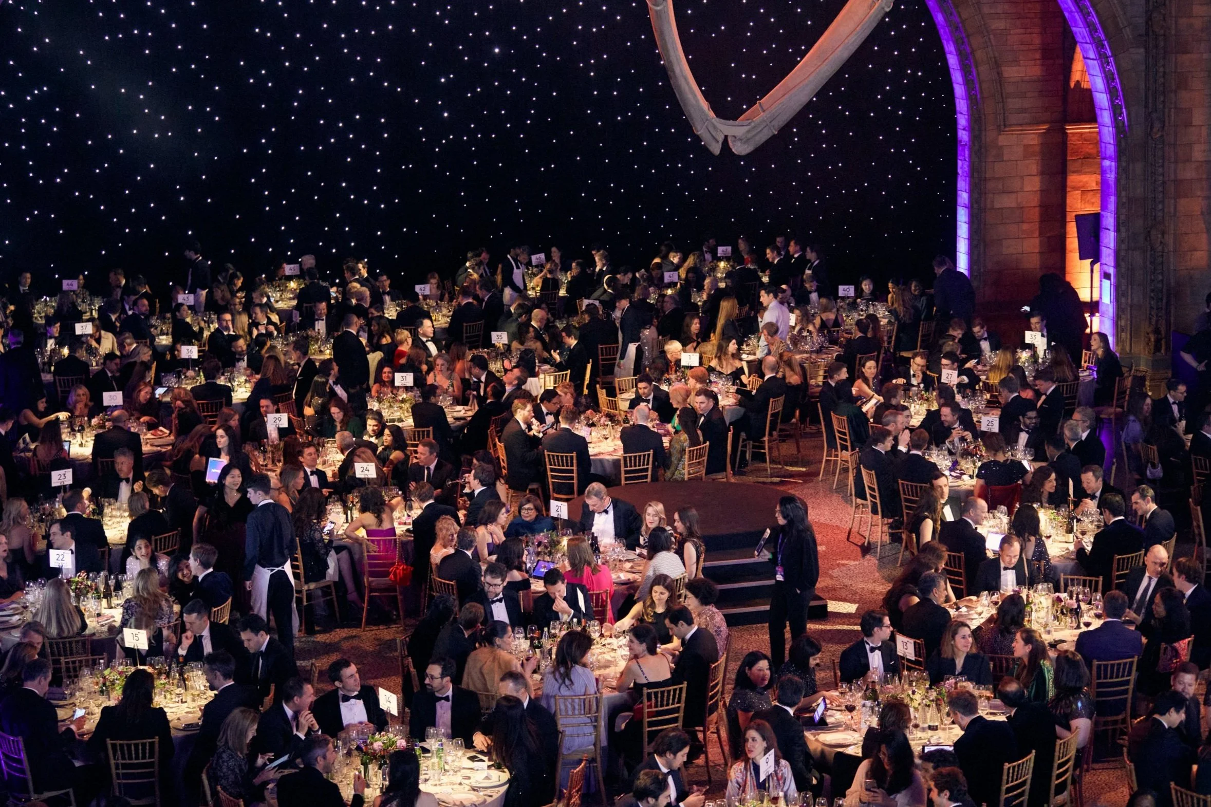 professional benefit auctioneer in New York City, benefit auctioneer in NYC, fundraising auctioneer nyc, New York Auctioneer, Auctioneer for Hire NYC, Charity Auctioneer New York, Best Charity Auctioneer New York