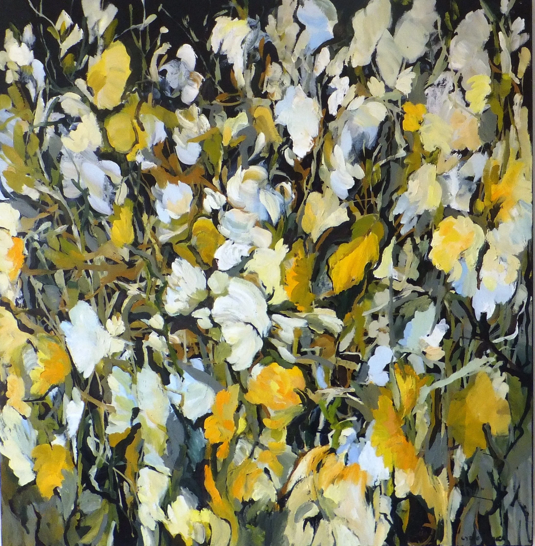 Yellow and Black 75 x 75 cms.JPG
