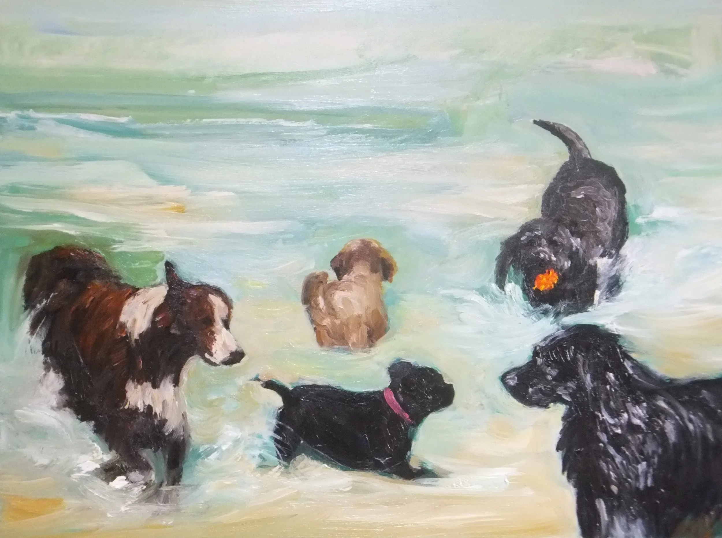 Playtime at Horseshoe Beach.JPG