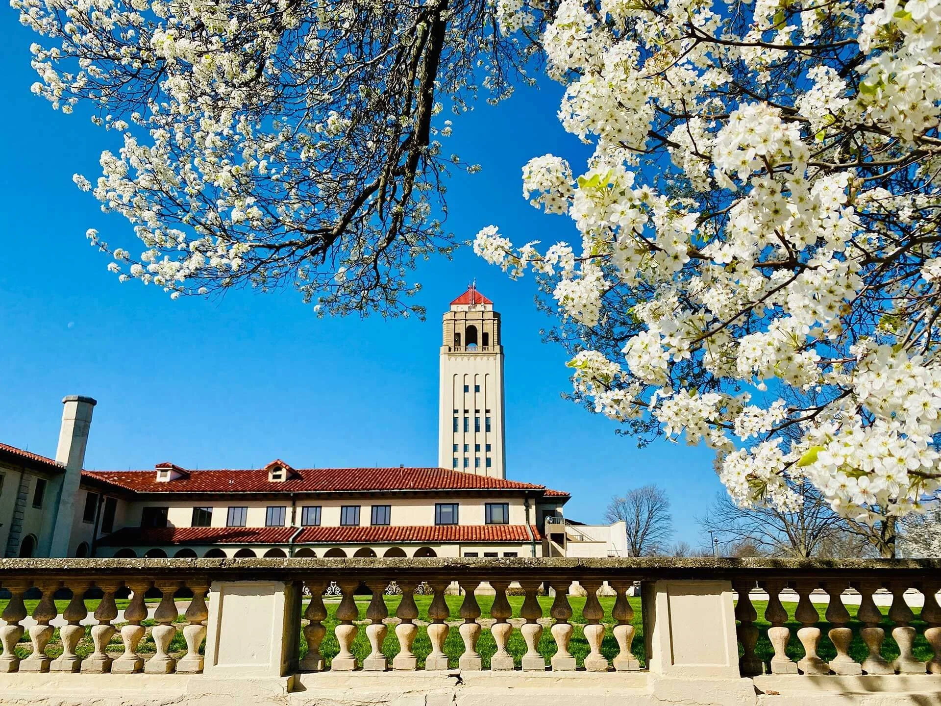 Photo of a large building with bell tower. Trees in blossom against a blue sky.