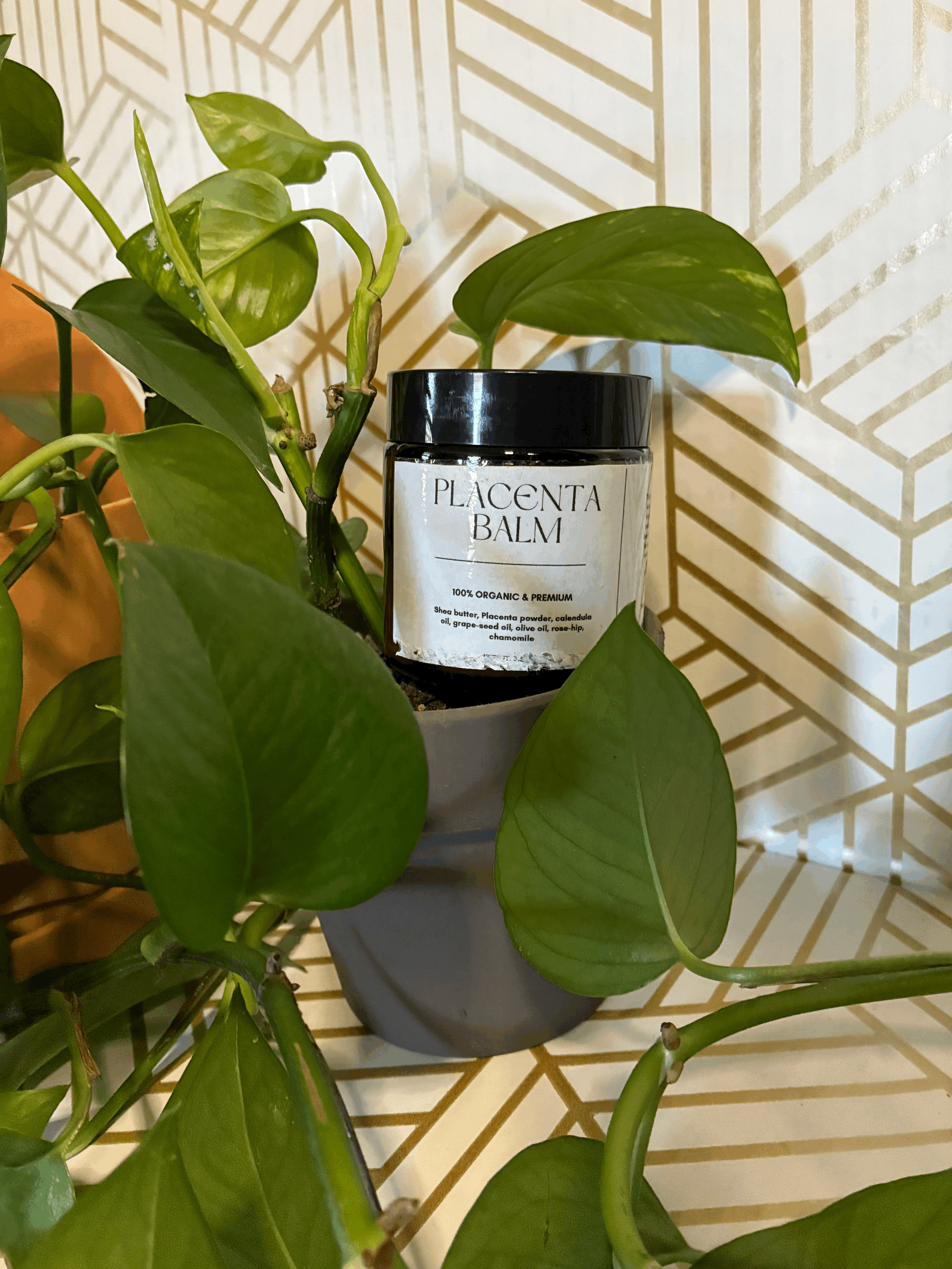 Placenta Salve (Add On)