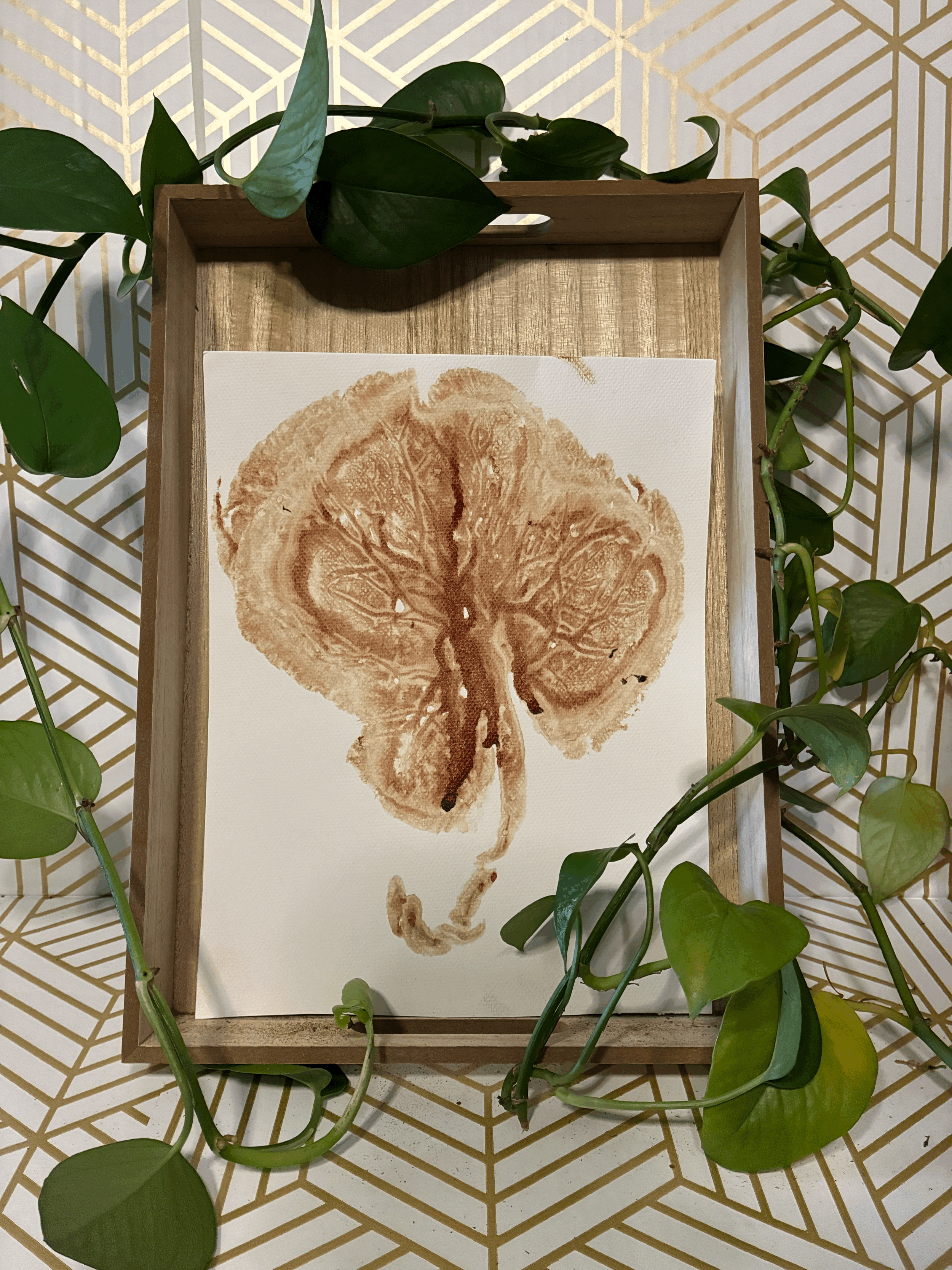 Placenta Print in its Natural (Add On)