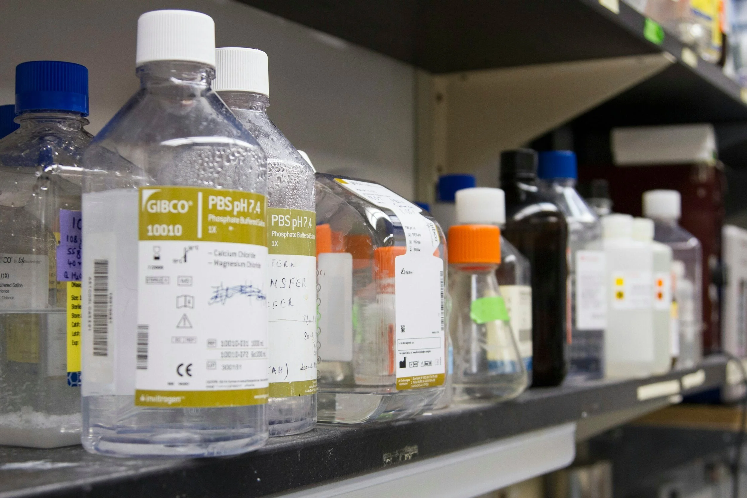 Shelves filled with various bottles of laboratory chemicals and solutions, including pH buffers and other reagents.