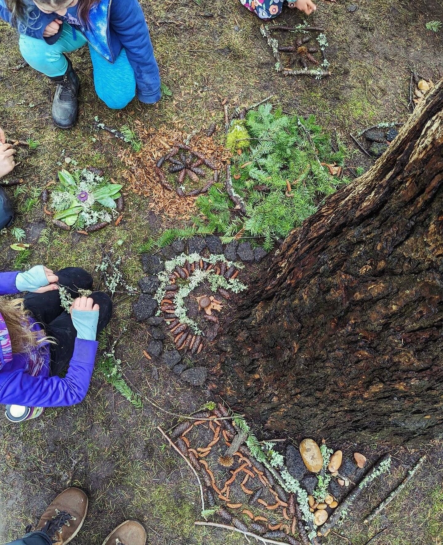 For one of the all school assemblies in 2023 students learned about mandalas and practiced their radial geometry celebrating spring and then shared their creations with the other classes.
🌿
#forestschool #learningthrough #learningthroughnature #natu