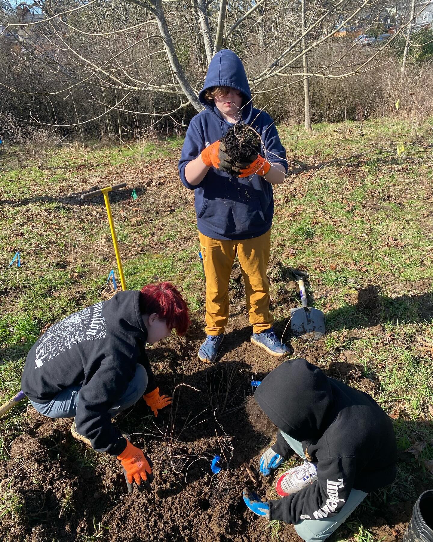 In Portland Forest School, we connect our students through earth skills, academic excellence, and conservation. Last week,our middle schoolers partnered with Portland Parks and Rec to plant native trees and shrubs, helping to restore the riparian are