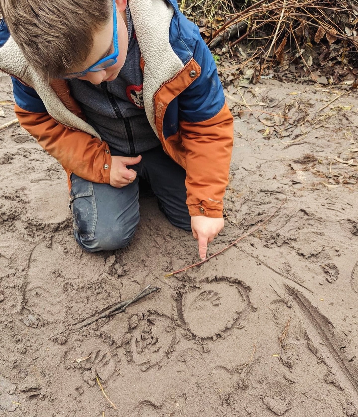 Portland Forest School students use animal tracks to understand who the other inhabitants of spaces are and what goes on when humans are not present in a space. 

Some educational terms that animal tracking teaches students: shape and pattern recogni
