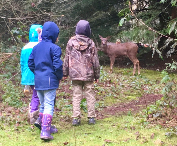 A group of three Portland Forest School students (Portland Forest School is an alternative K-8 private school in Portland, OR) stand together on a trail and a deer stands in front of them, looking at them, with a forest of evergreens behind the deer.