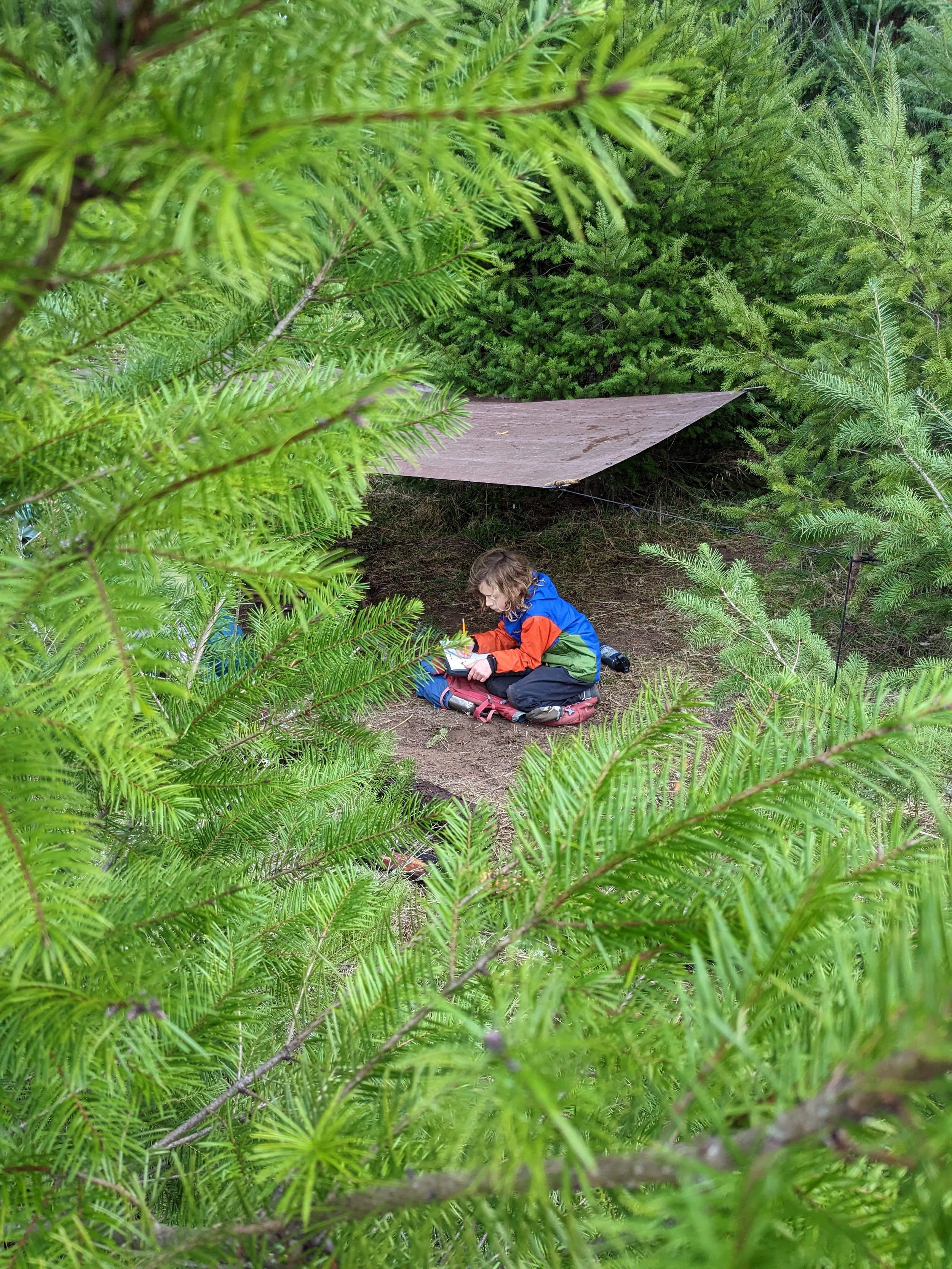 Forest school elementary student outside at the private school, alternative school, independent school, nonprofit school in Portland, OR with a community based, alternative education, nontraditional school approach that is community based, has low ra