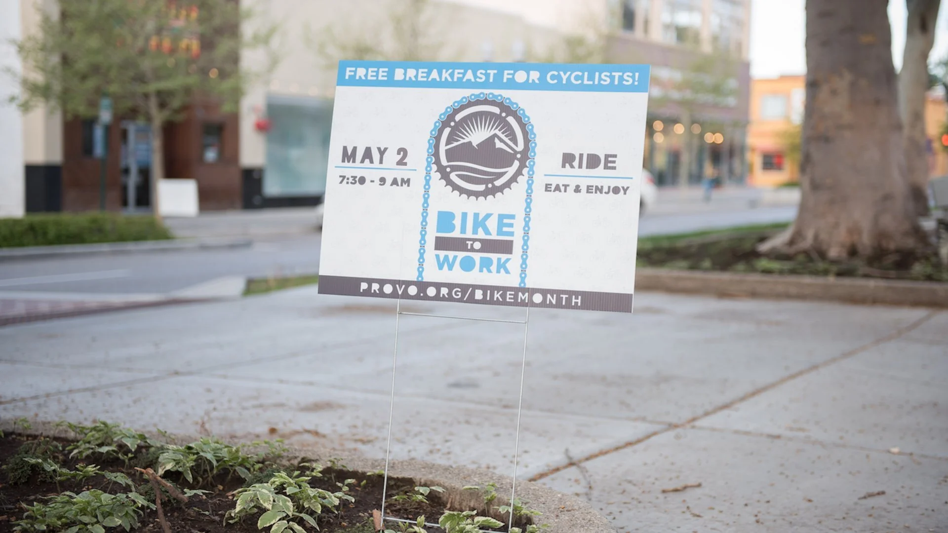 Bike to Work or Anywhere Day