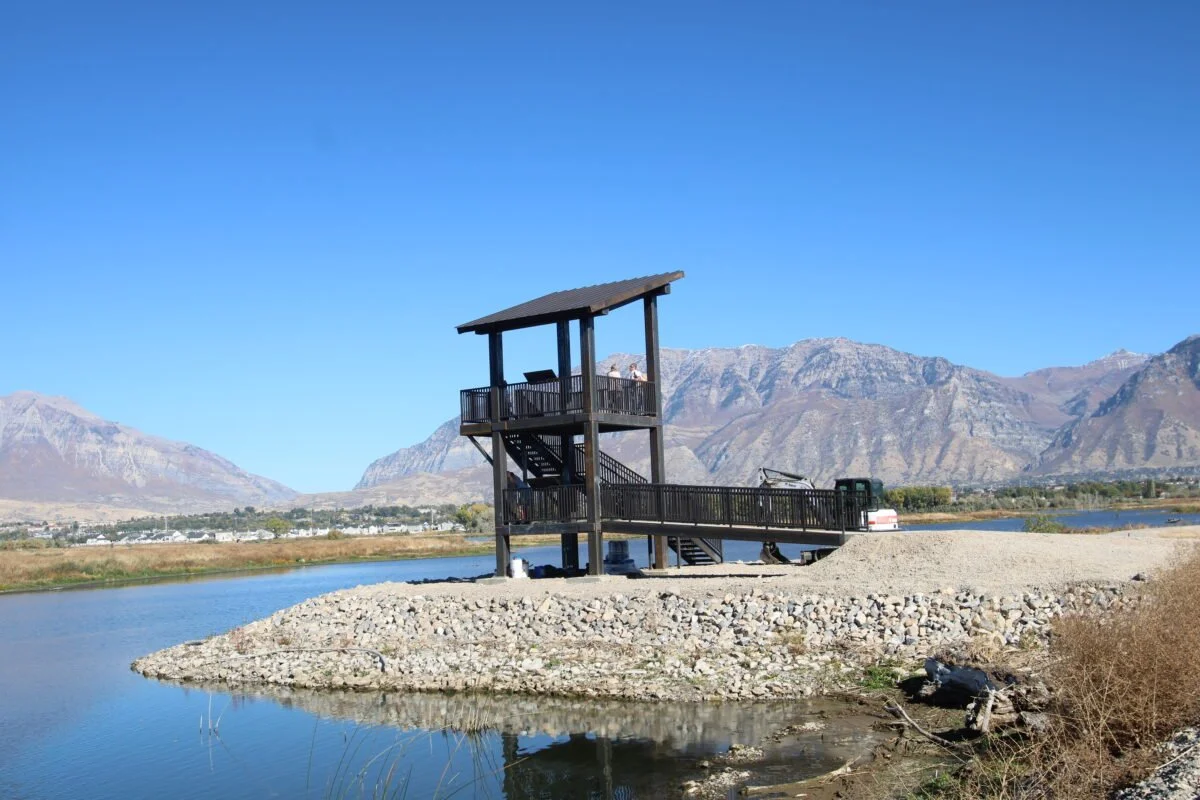 Birding & Biking Utah Lake