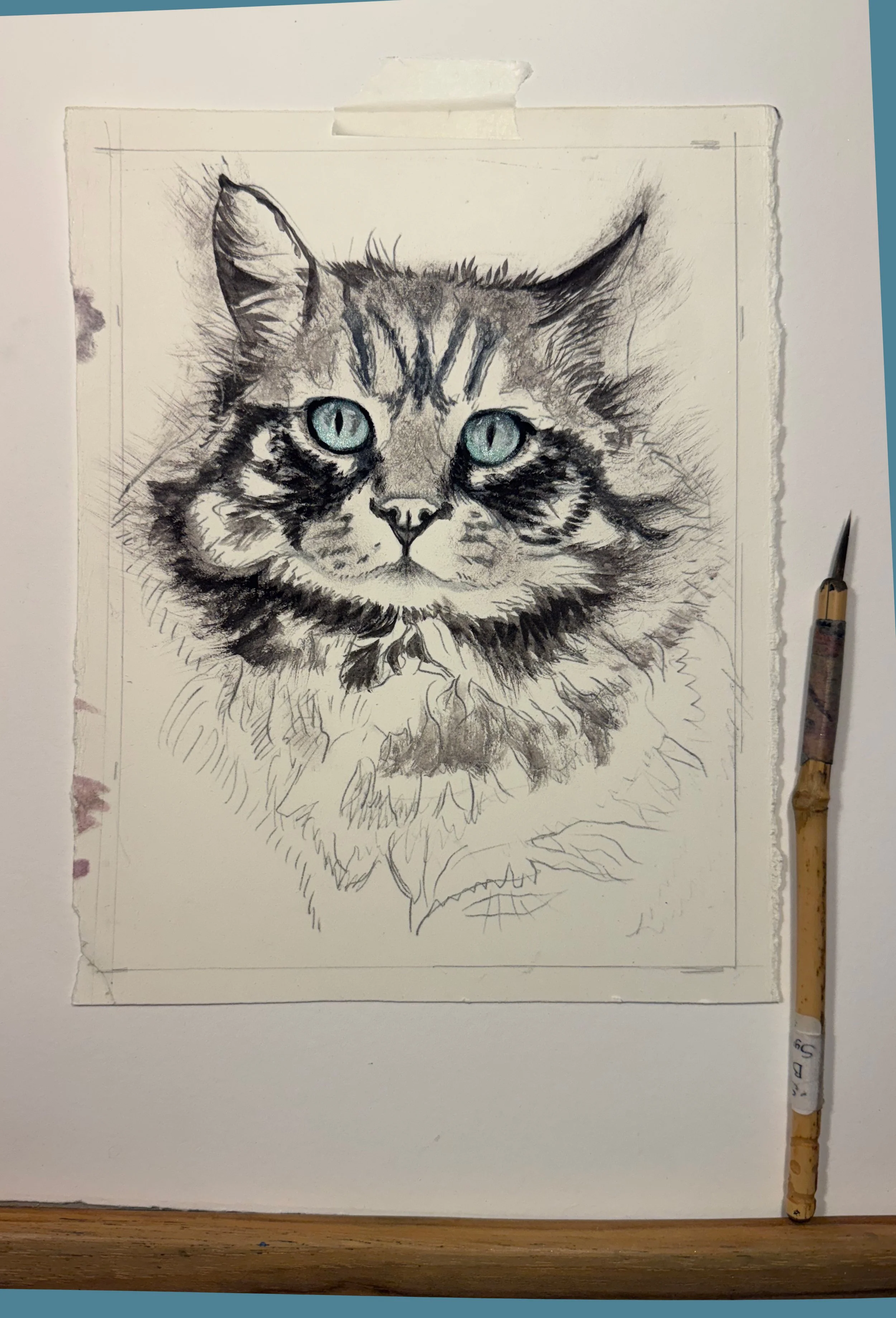 IMGNewCat_7422.jpg
