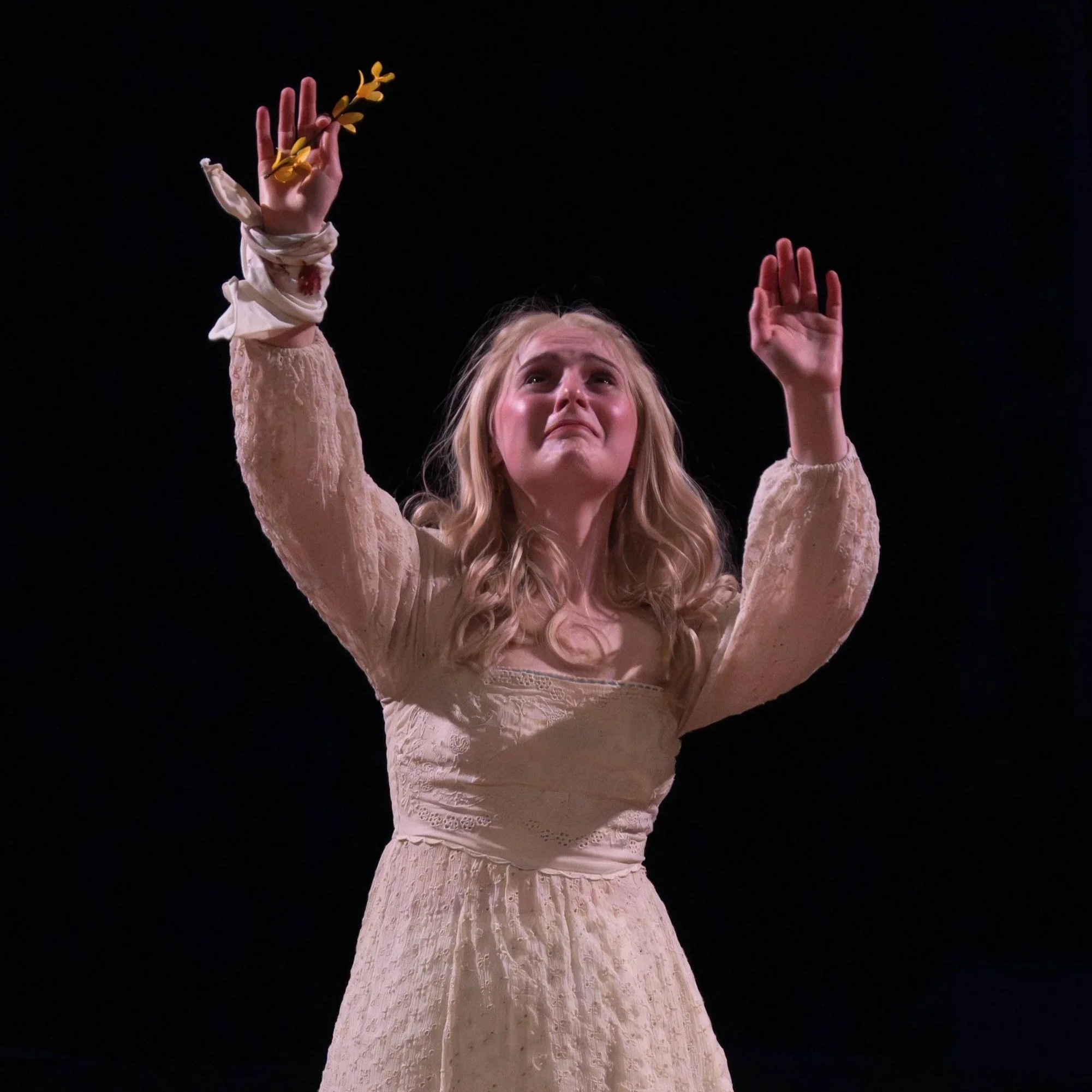 A Room in the Castle