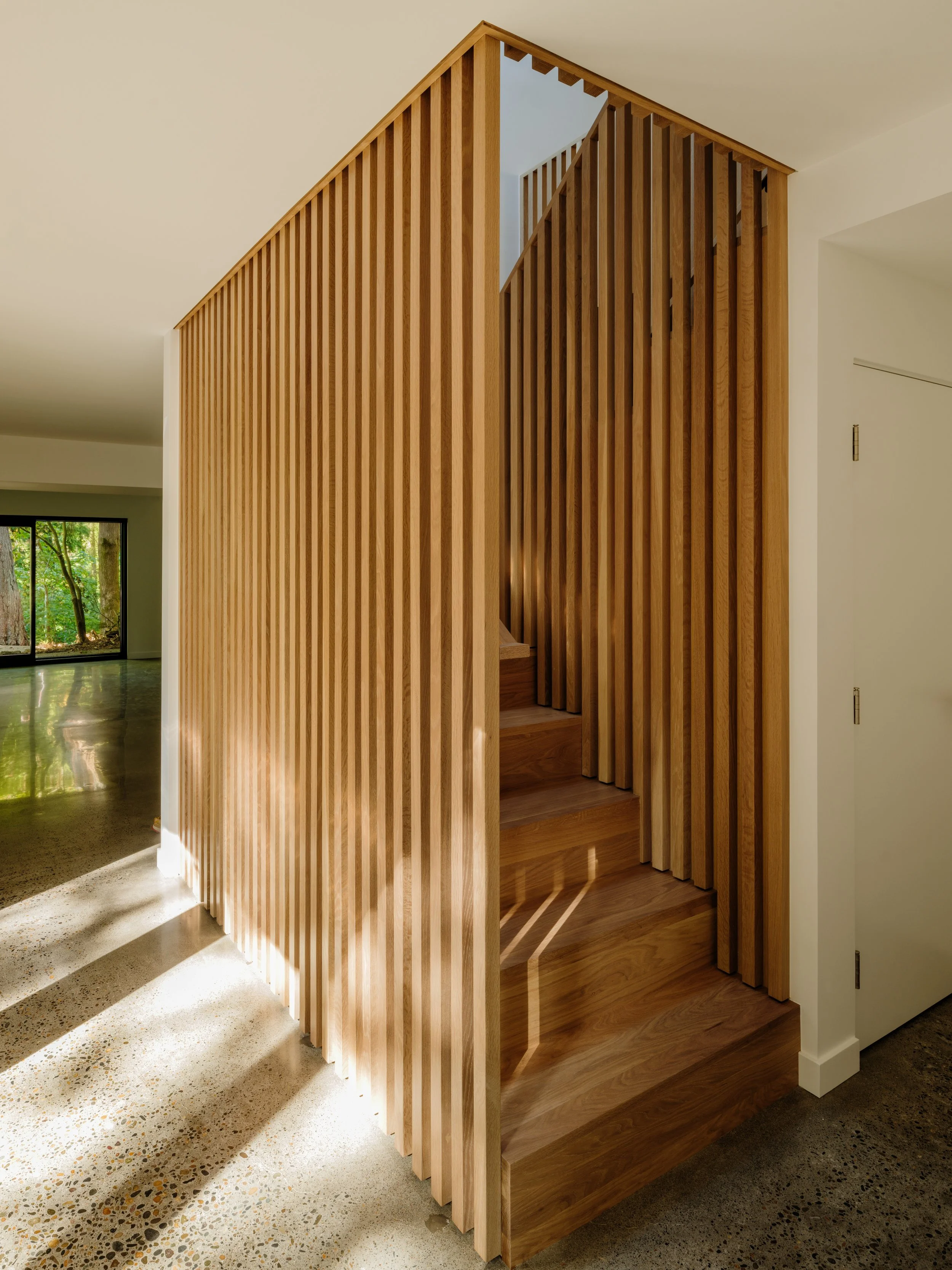 Ment - Tunnelwood1279.jpg