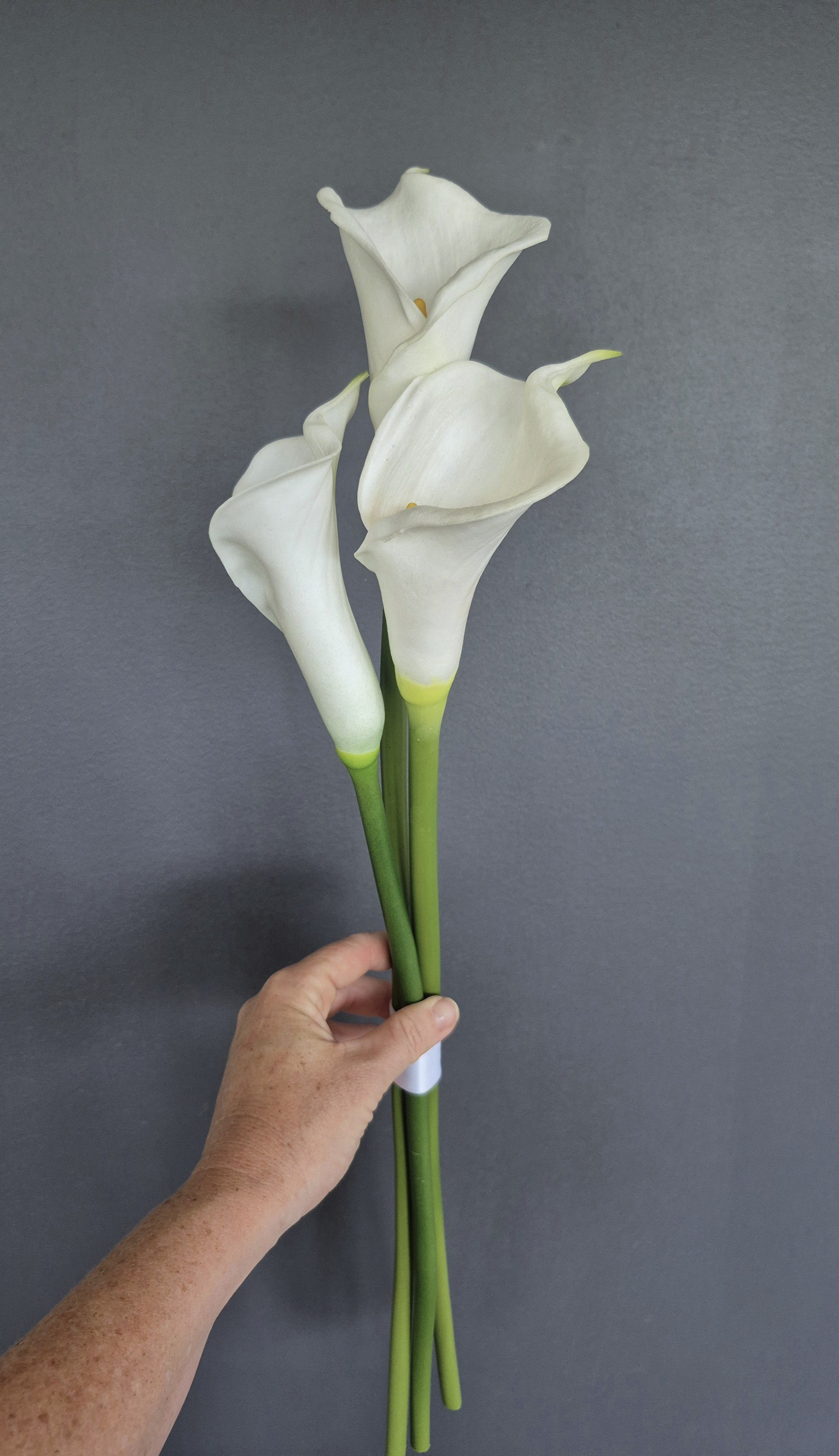 calla.jpg