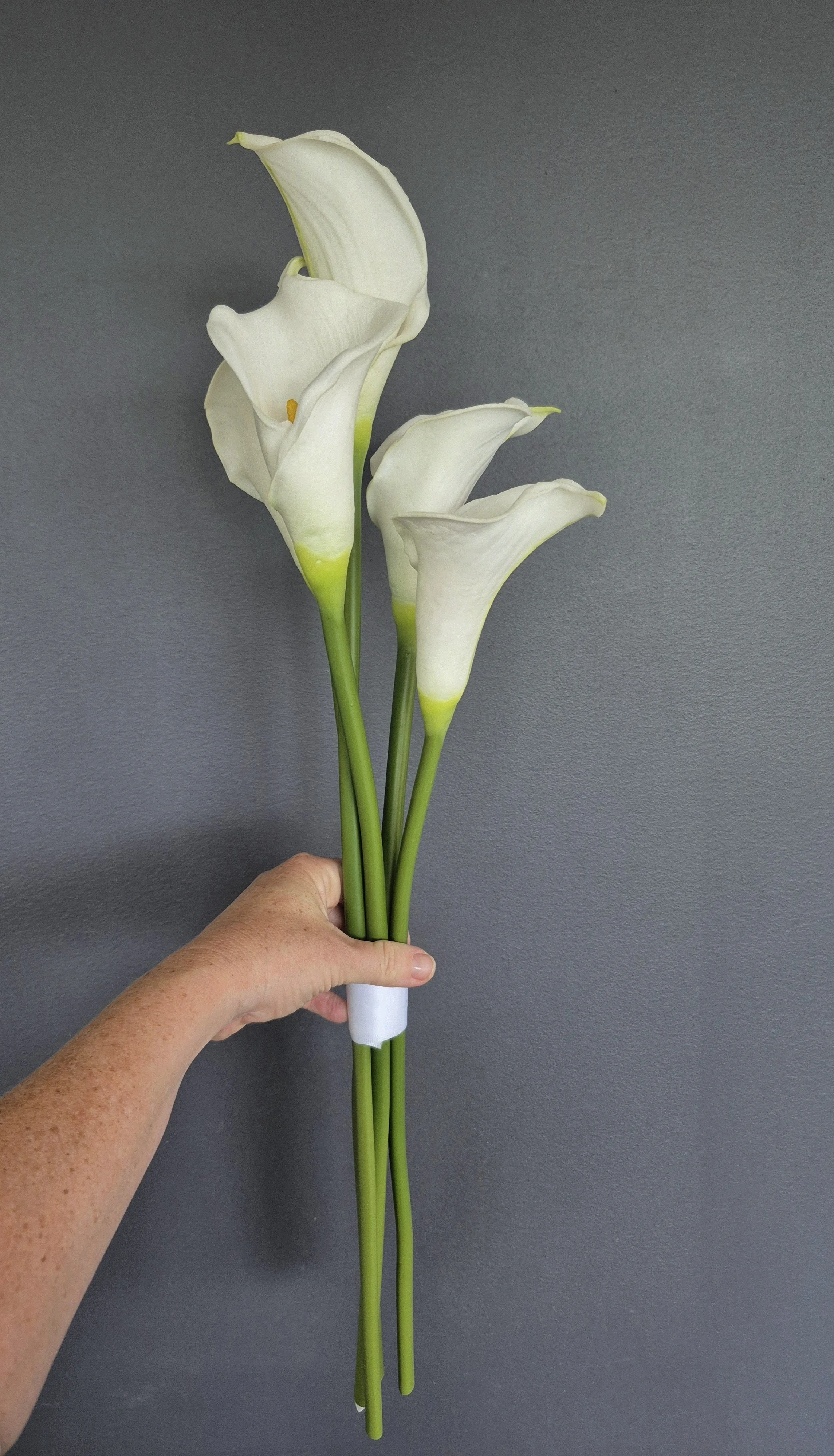 calla 4.jpg