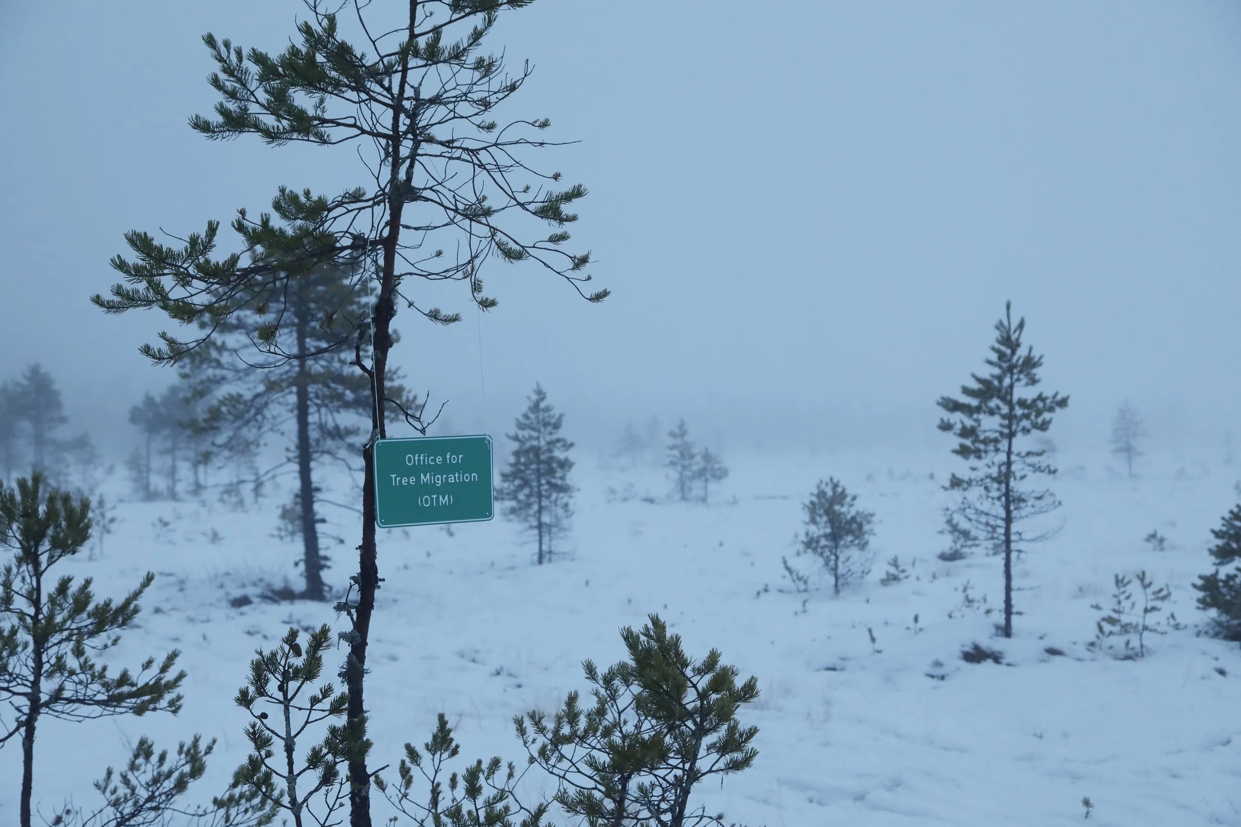 EU S+T+ARTS“ Grand Prize – Innovative Collaboration” for the “Office for Tree Migration” (OTM) by Agnes Meyer-Brandis