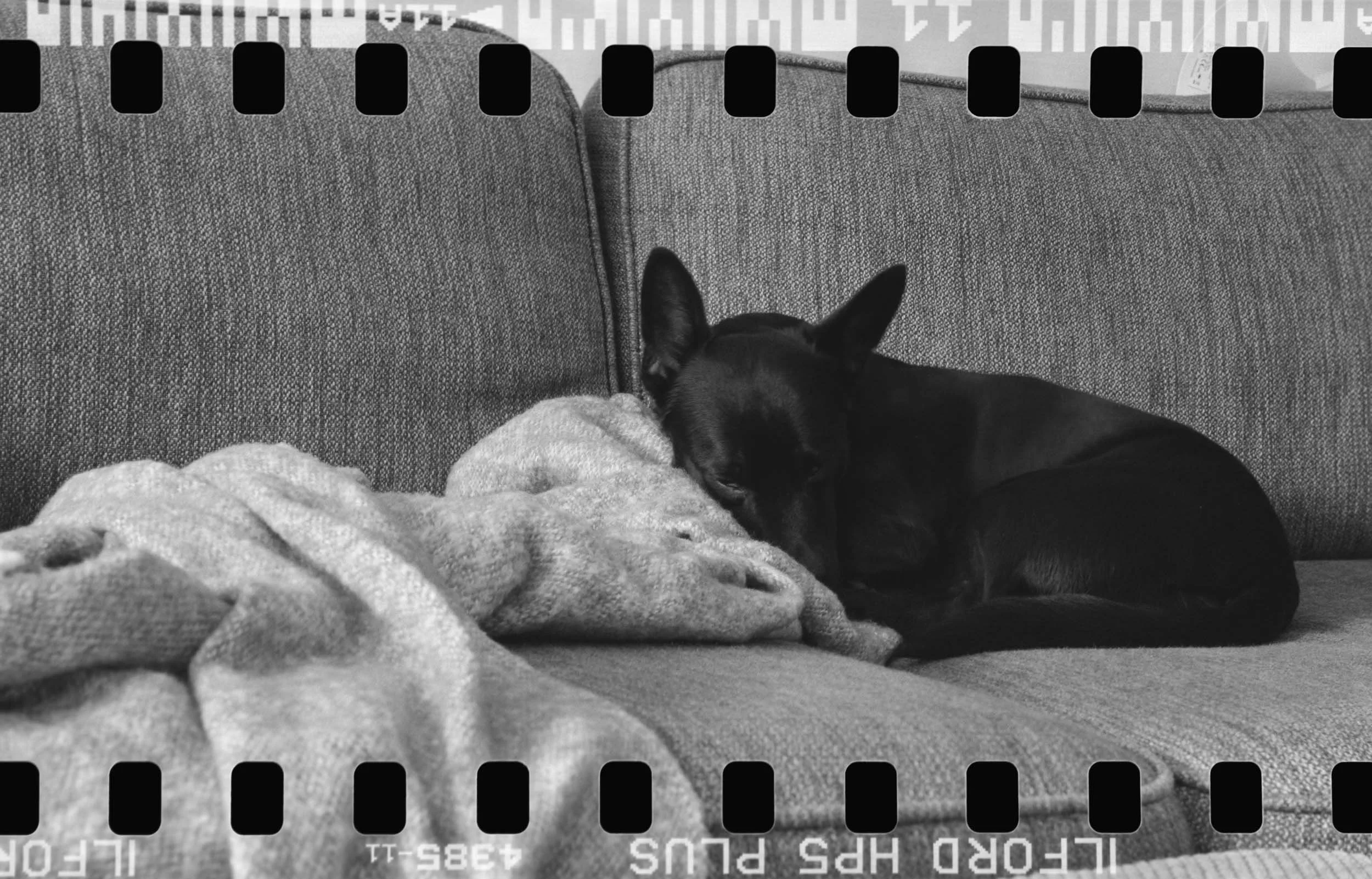 _SQ_-68 - 6496 II-06220.jpg