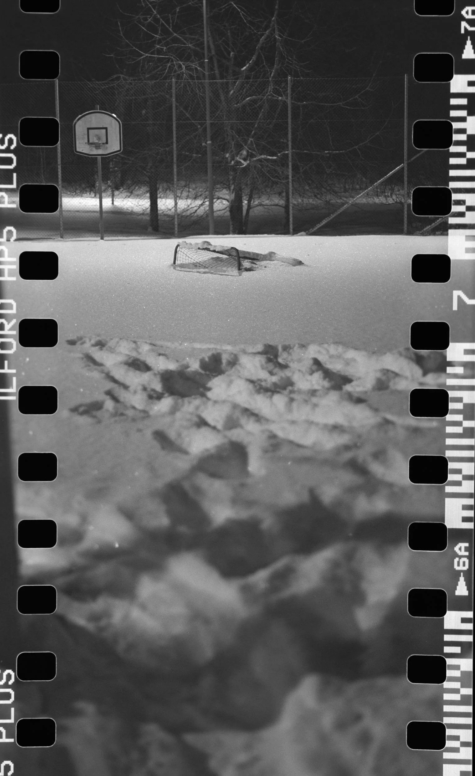 _SQ_-68 - 6496 II-06229.jpg