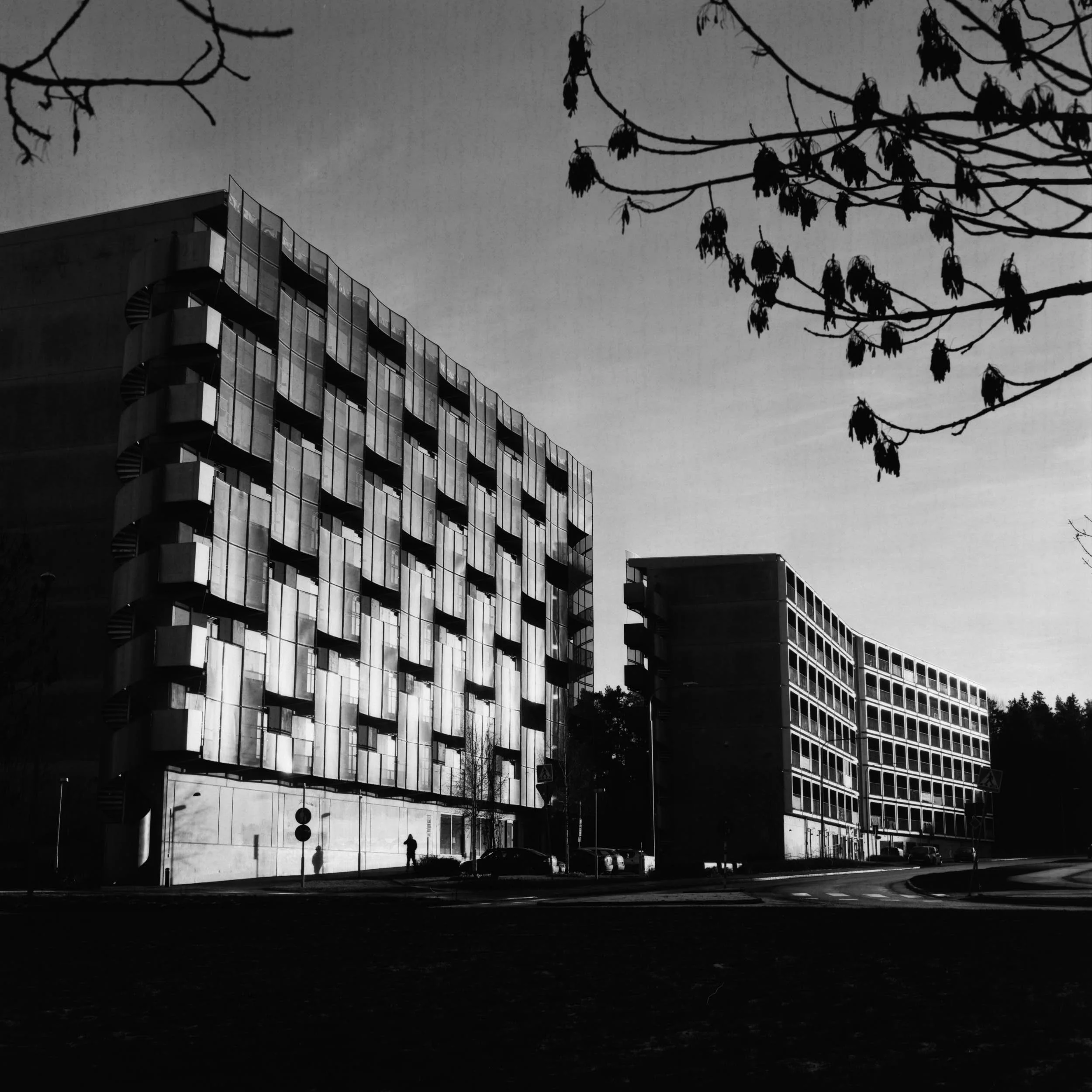 _SQ_68 - 6496 I-06183.jpg