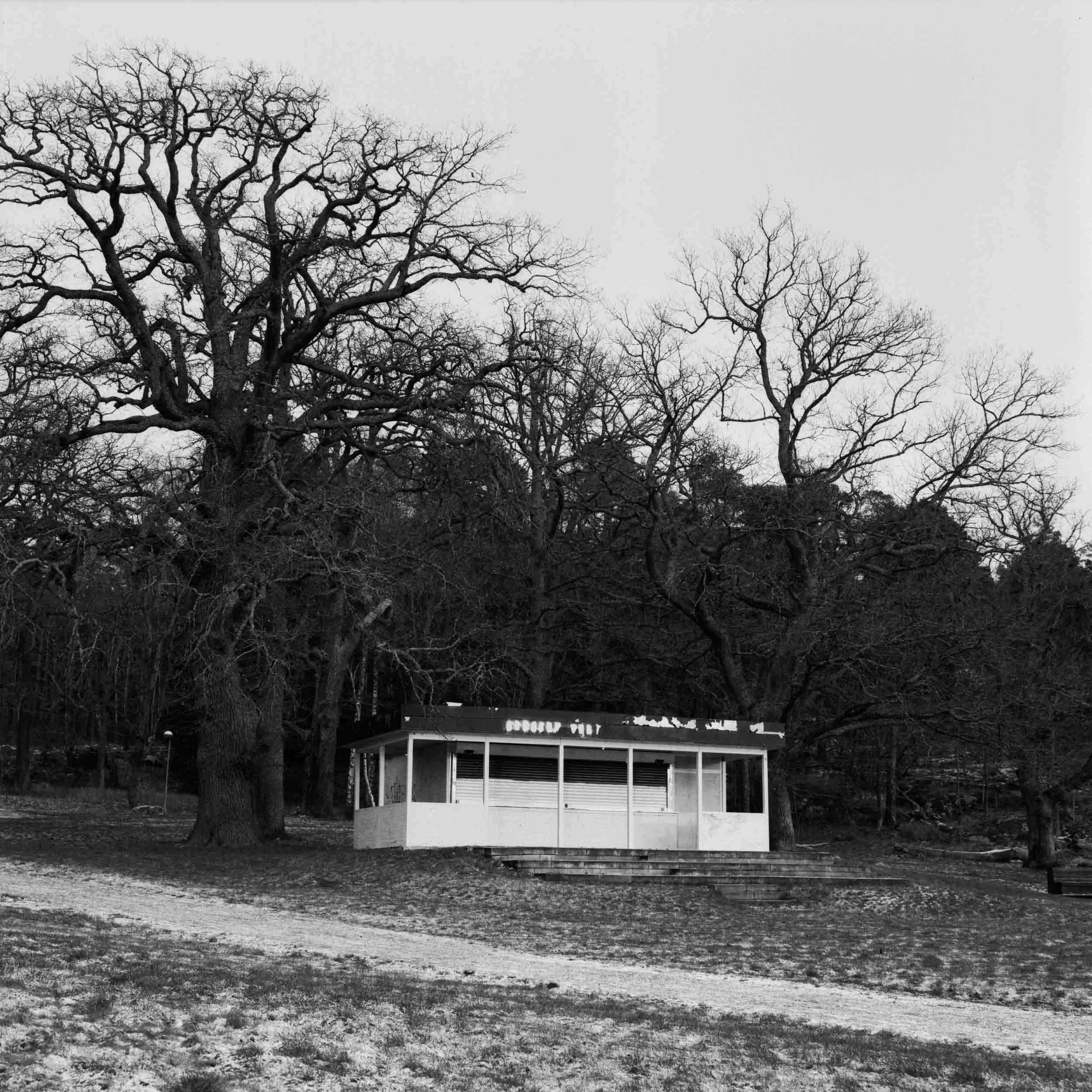 _SQ_68 - 6496 I-06165.jpg