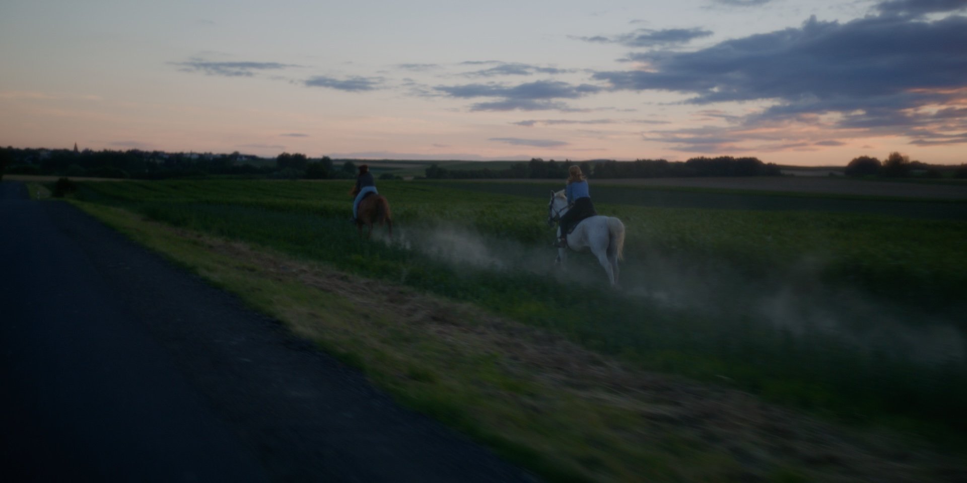 HORSE8.jpg