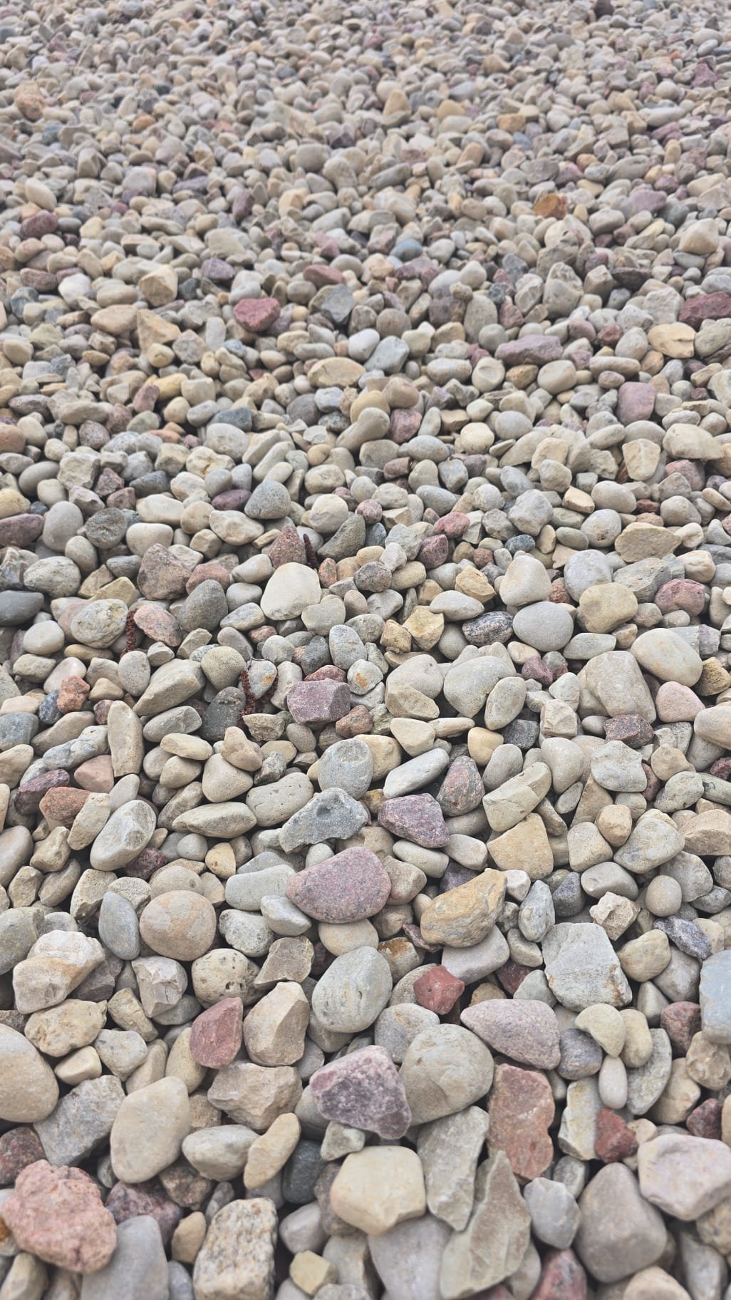 WhatsApp Image 2025-04-22 at 13.08.38.jpeg