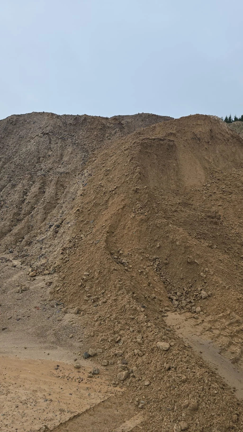 WhatsApp Image 2025-04-22 at 13.31.09.jpeg