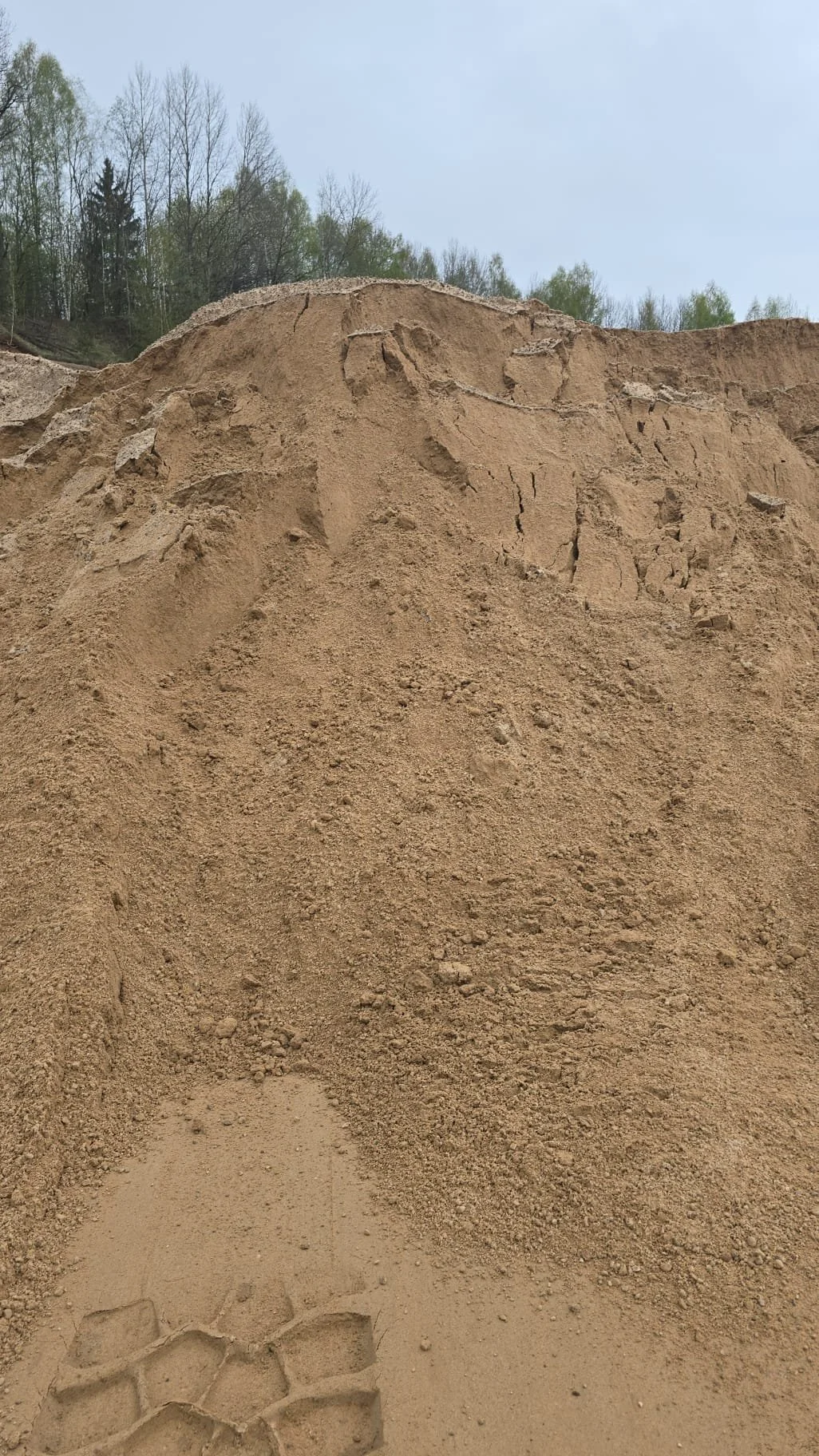 WhatsApp Image 2025-04-22 at 13.31.25.jpeg