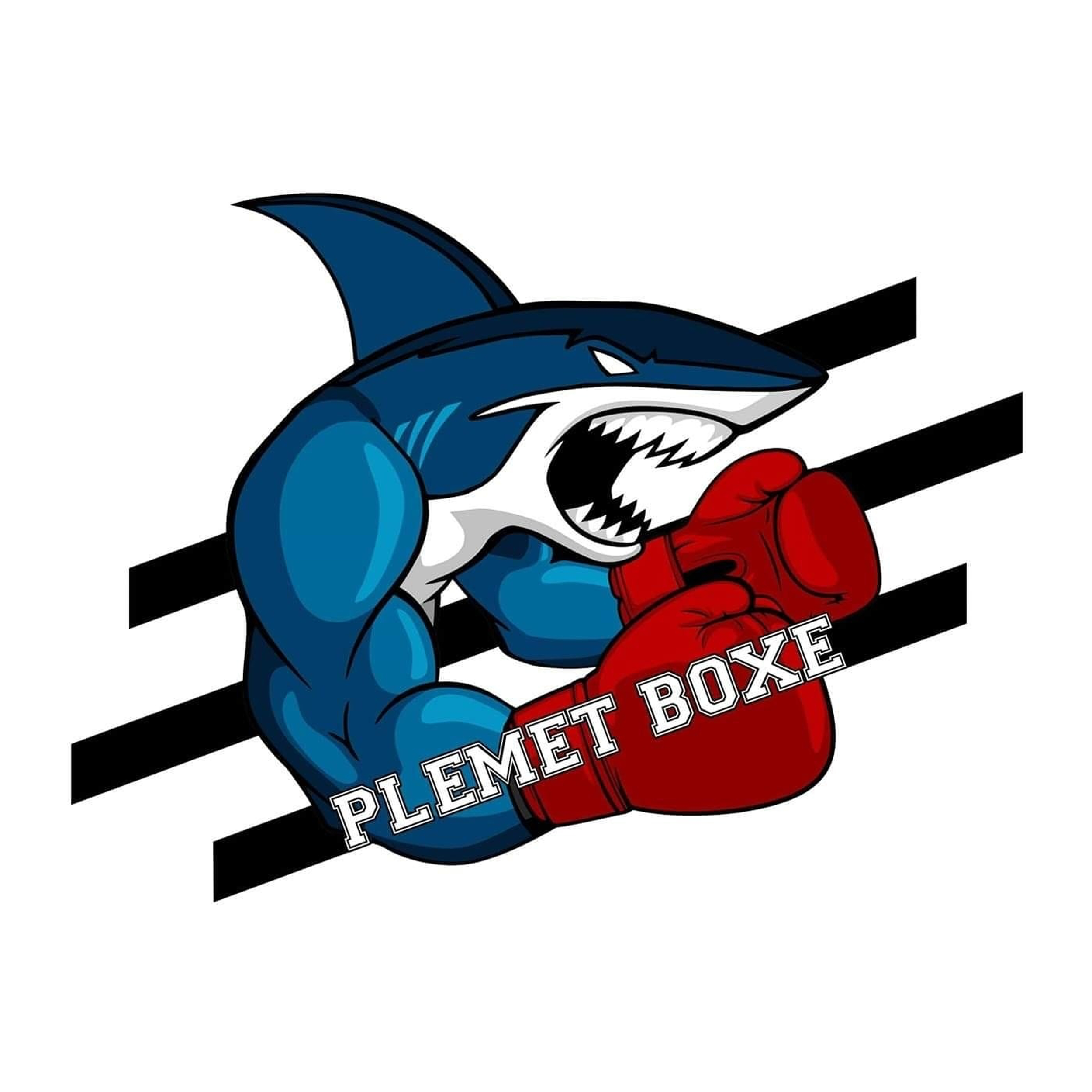 Logo Plémet Boxe.png