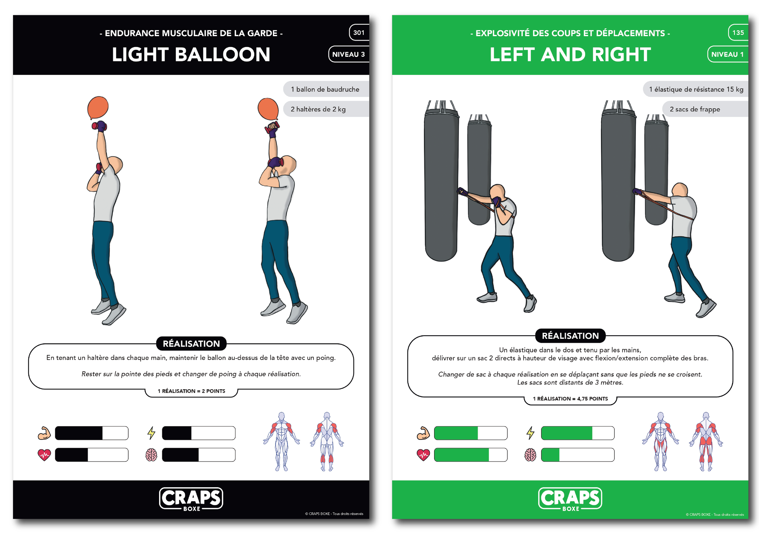 Exercices CRAPS BOXE 301 135 Lot 2.png