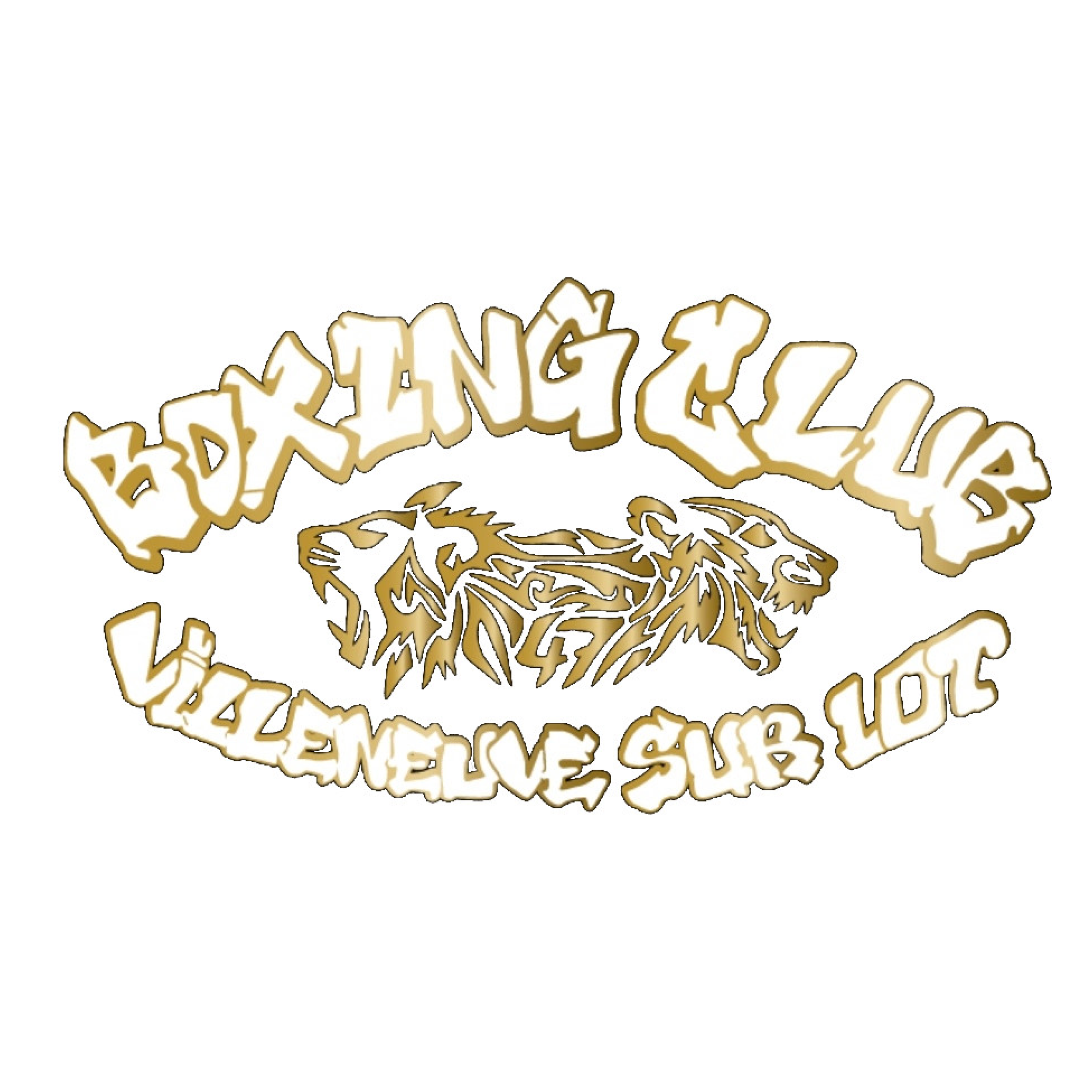 Logo Boxing Club Villeneuve-sur-Lot.png