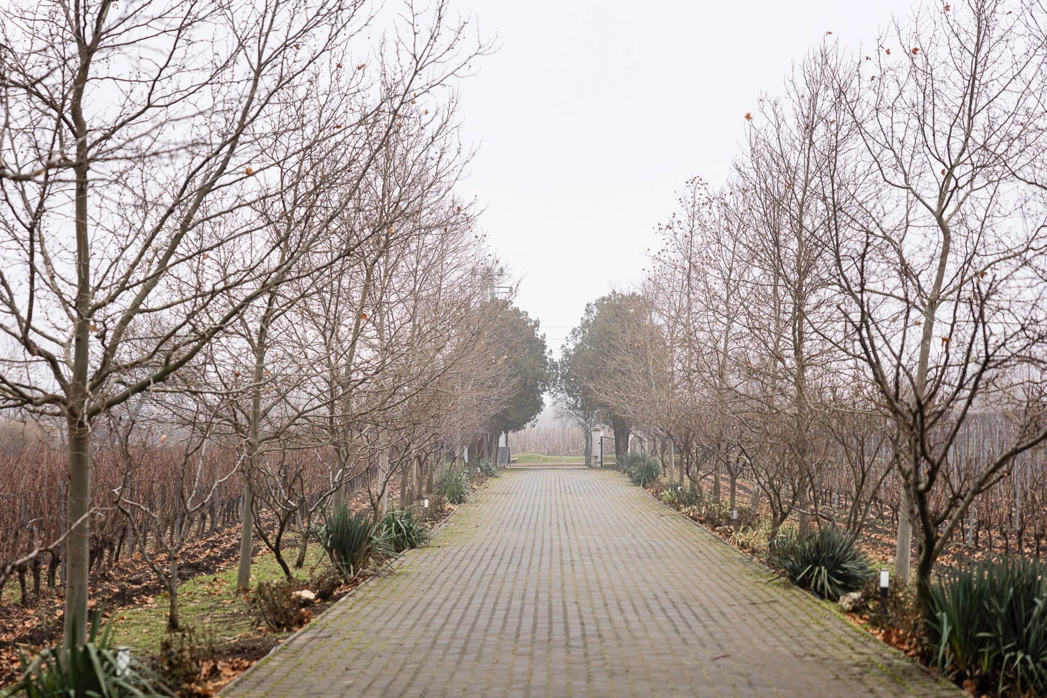 Altcumva.ro-Amintiri Gustoase.ro-0011.jpg