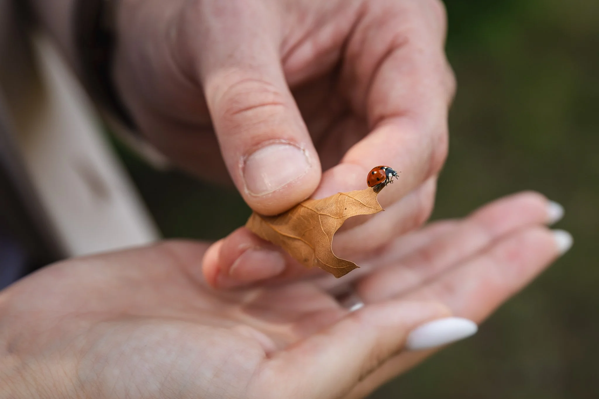 Altcumva AI 2025-0030.jpg