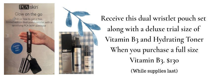 Receive this dual wristlet pouch set along with a deluxe trial size of Vitamin B3 and Hydrating Toner When you purchase a full size Vitamin B3.png