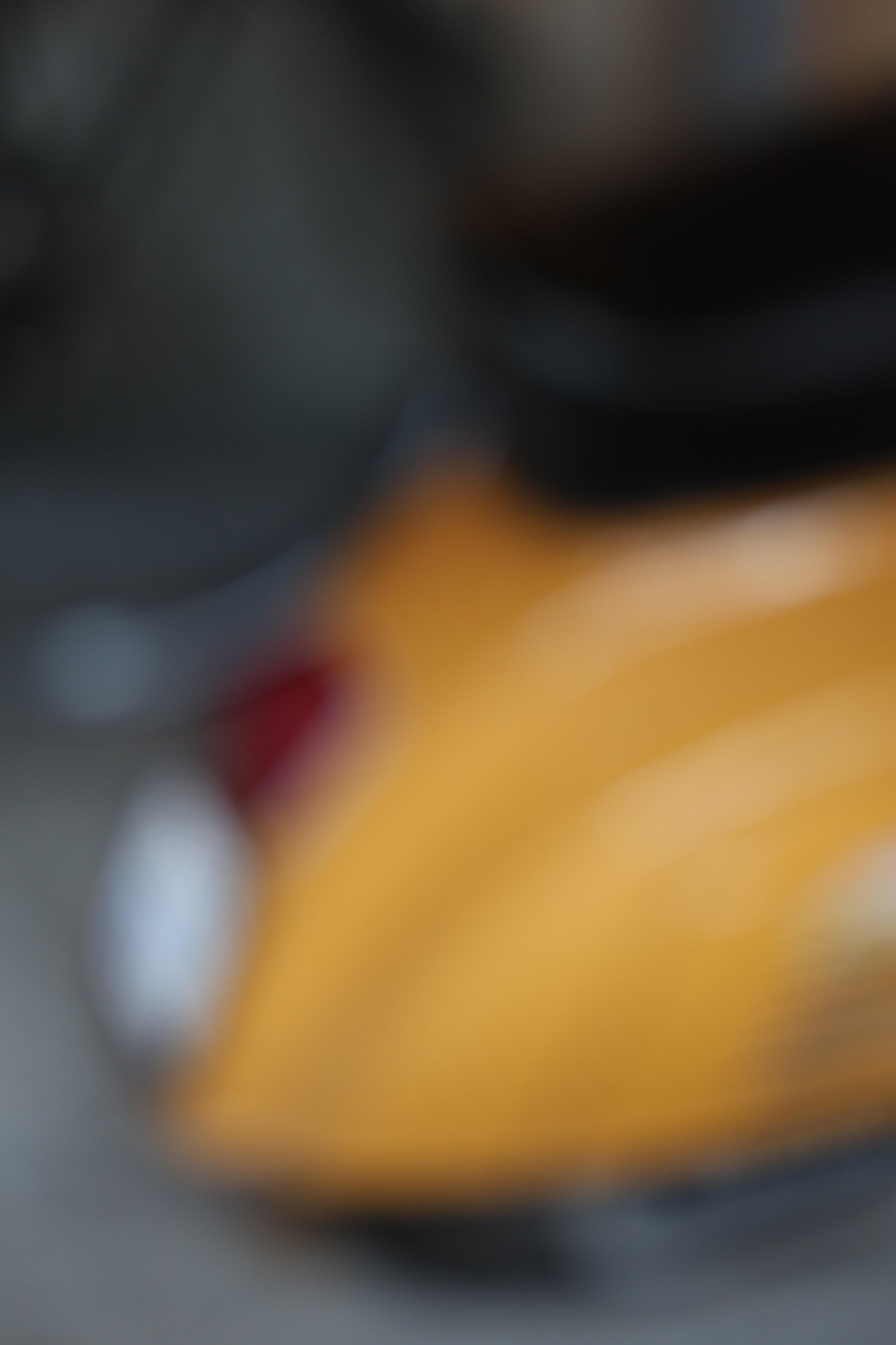 1E7A8636.JPG