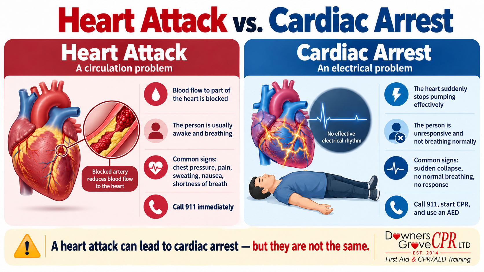 Cardiac Arrest vs. Heart Attack: What's the Difference? 