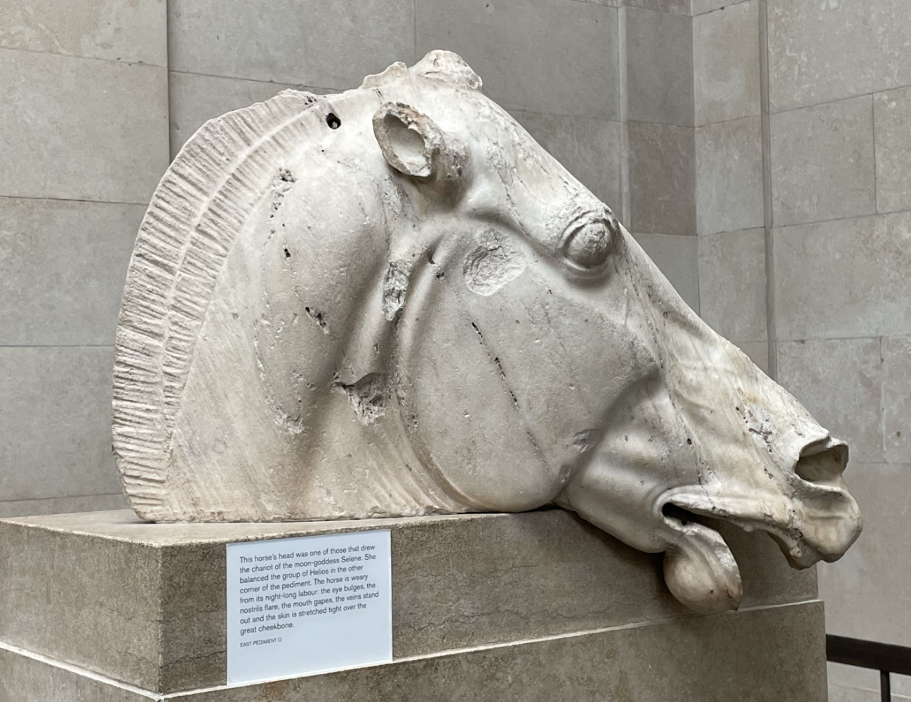 2026 Blitz Championship @ Seaside (Individual Registration)