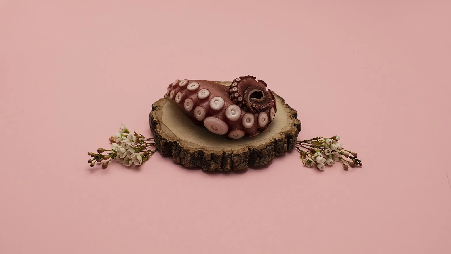 OMAKASE_ 974_WEB.jpg