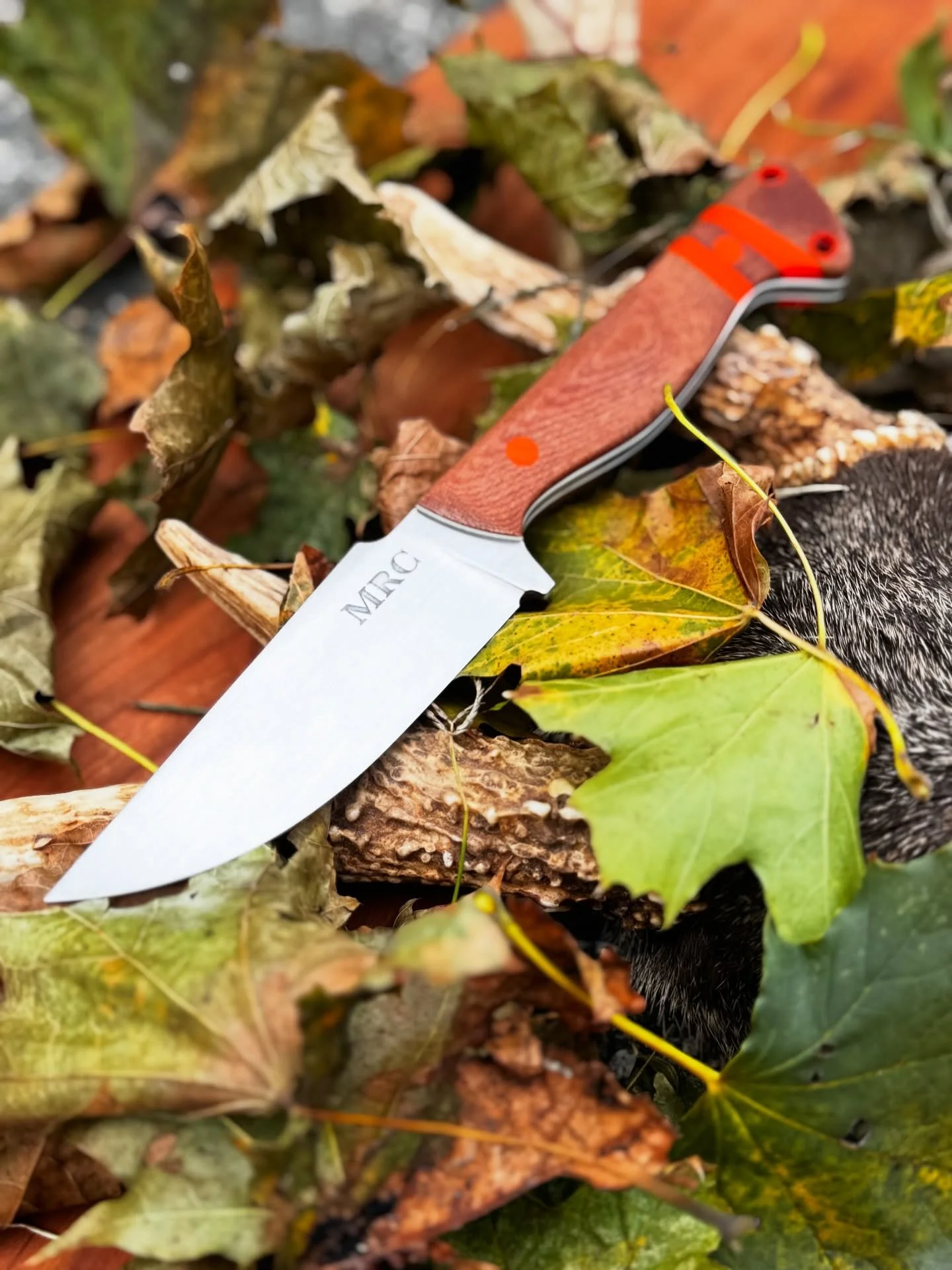 Don&rsquo;t lose your knife in the woods!
.
Nitro-V Stainless from @nj_steelbaron 
Micarta, Blaze Orange G10, and Hardware from @makermaterialsupply 
.
This piece is ready for a home😎