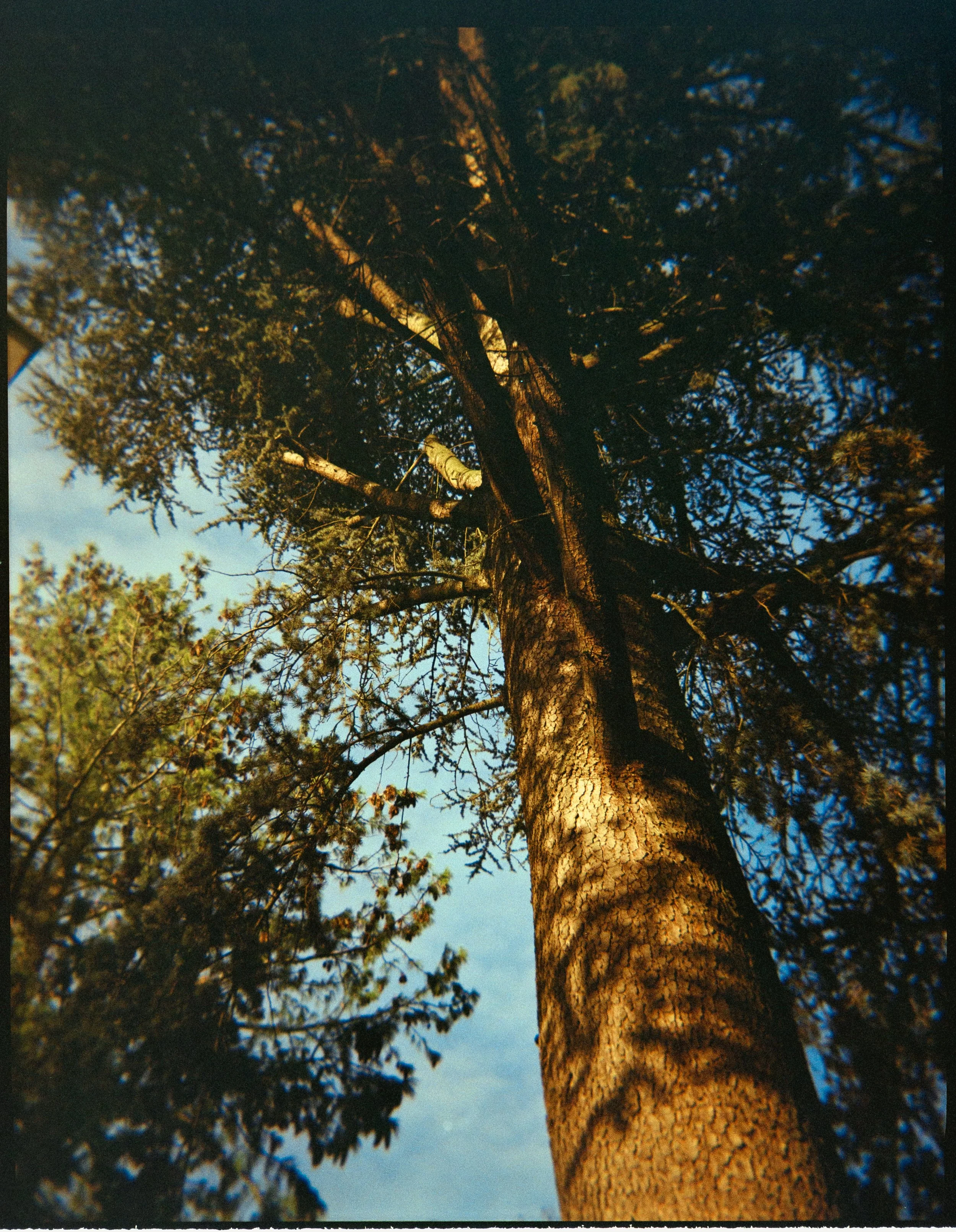 6. Club 35 Film Lab - club35.co - #1976-10.jpg