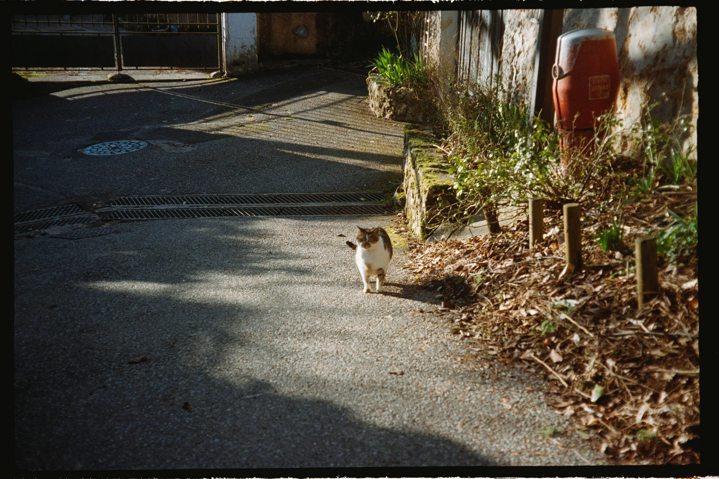 2. Club 35 Film Lab - club35.co - #1976-18.jpg